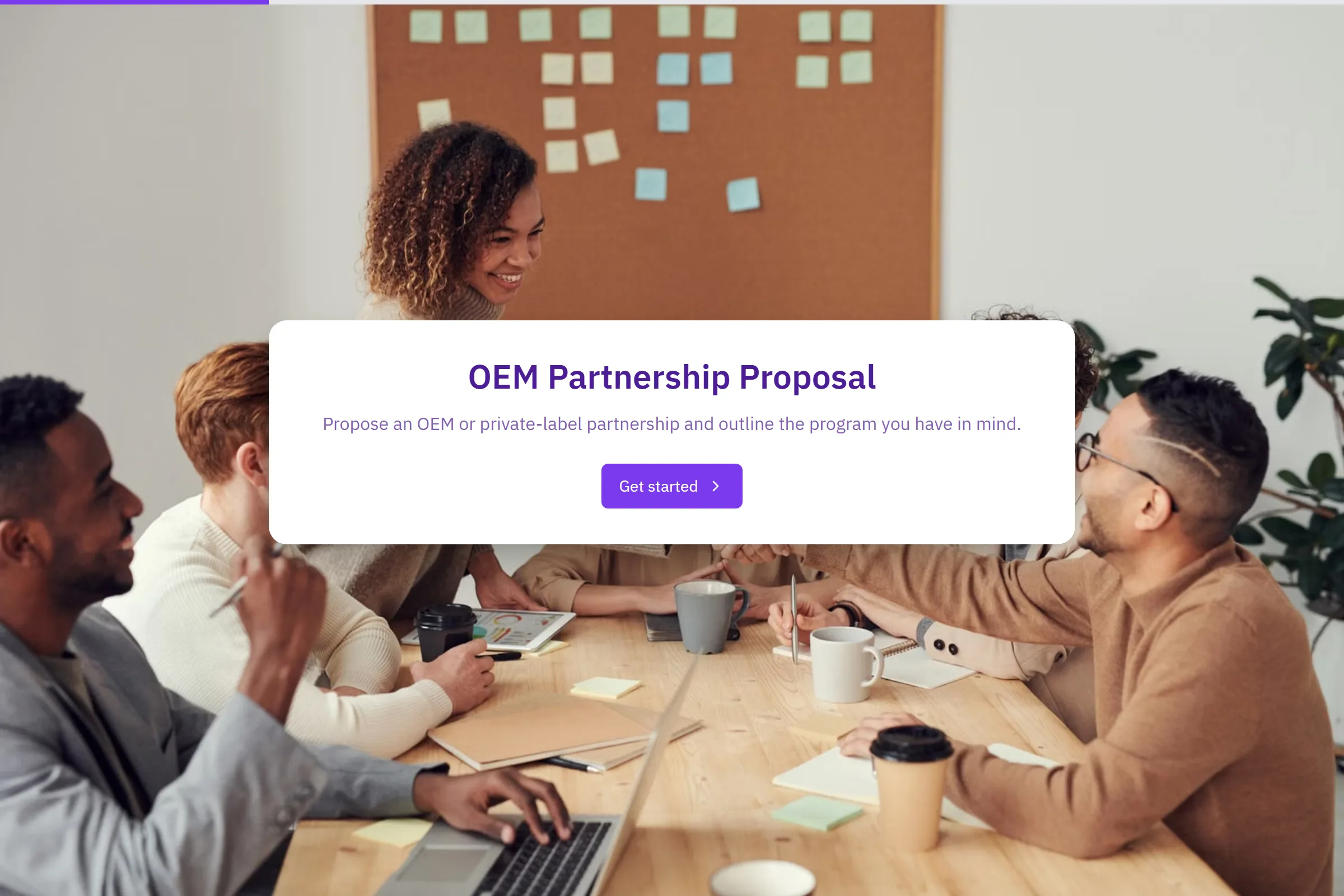 OEM Partnership Proposal template preview