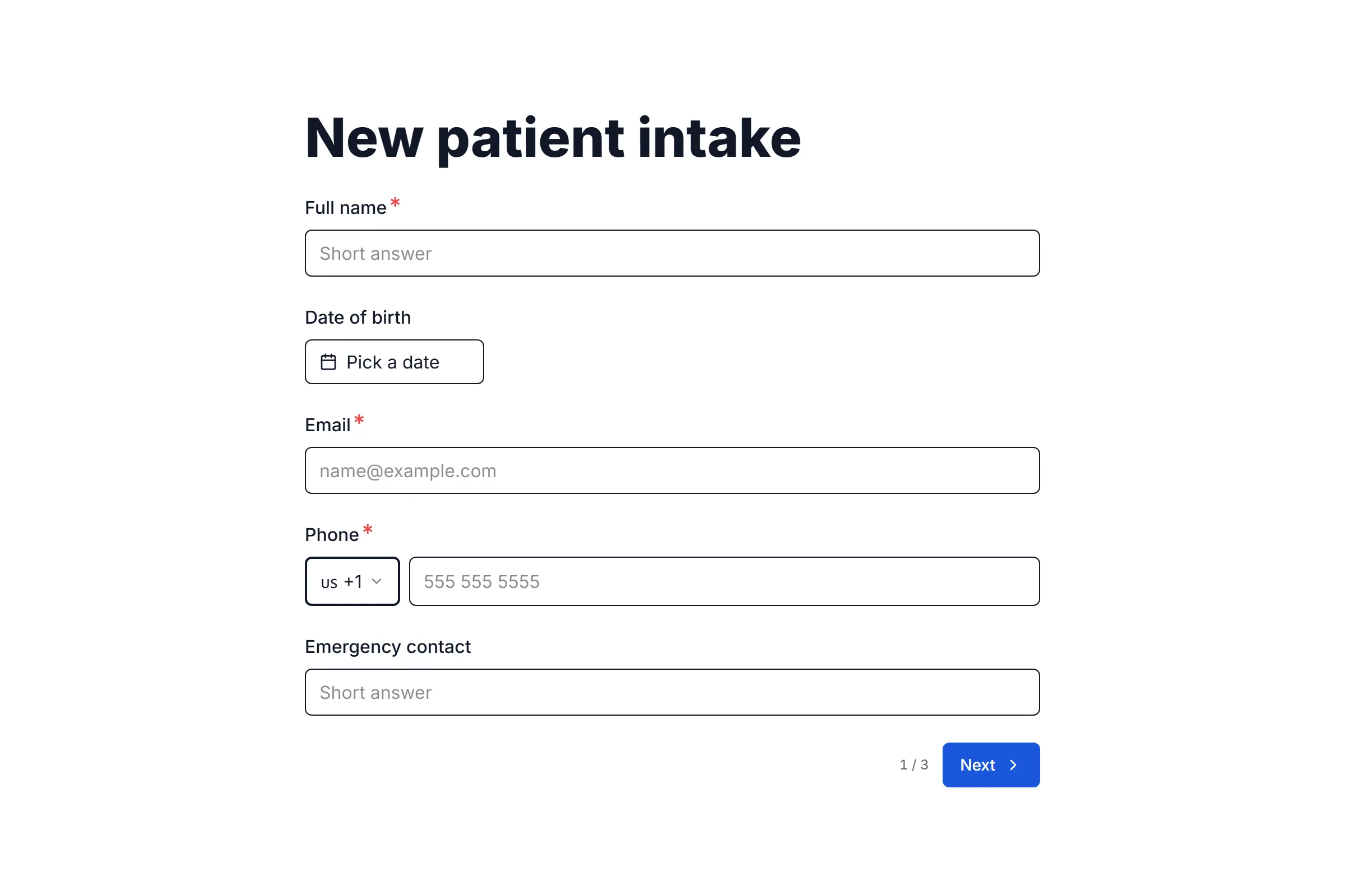 Patient Intake Form preview
