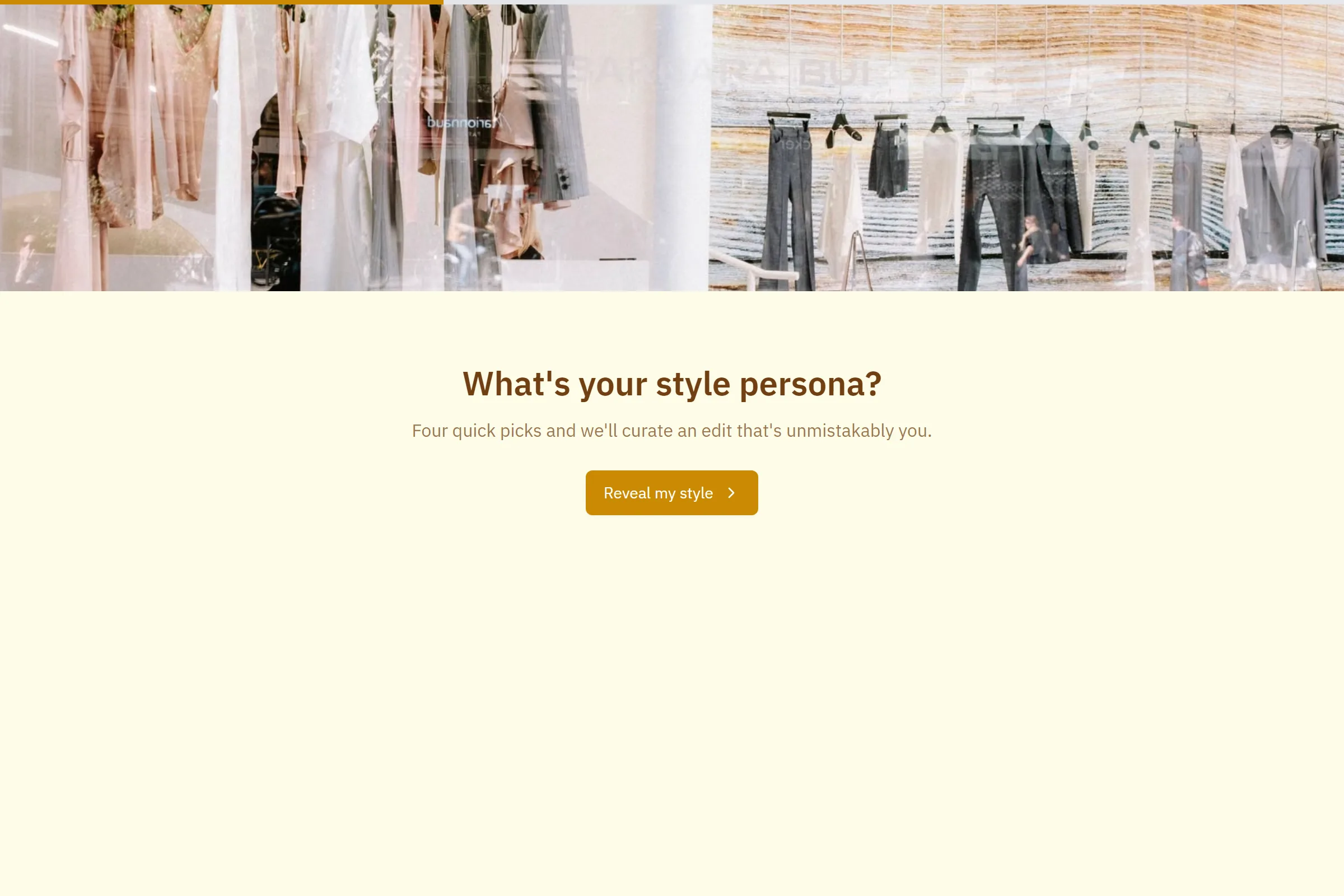 Personal Shopper Style Quiz template preview