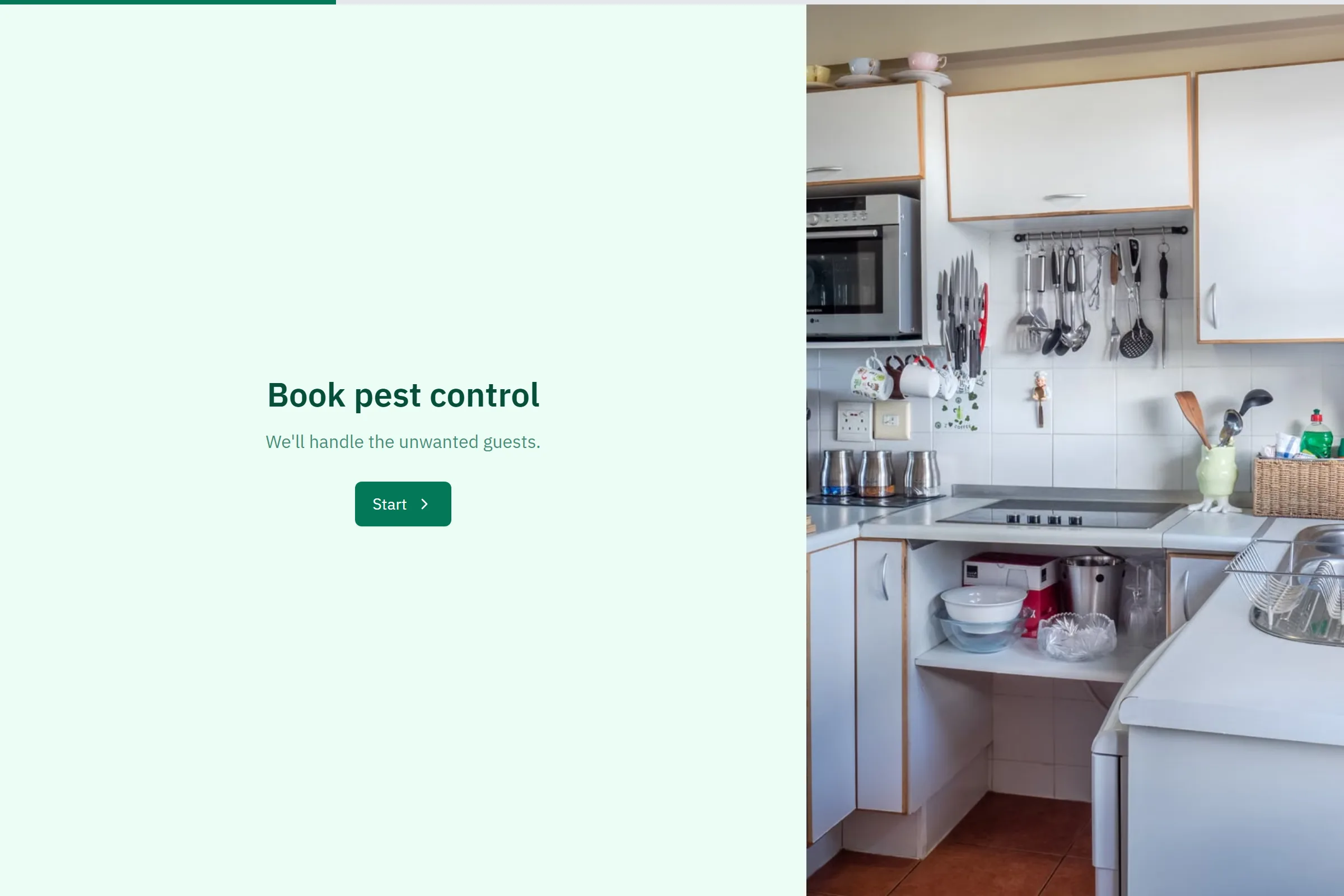 Pest Control Booking template preview