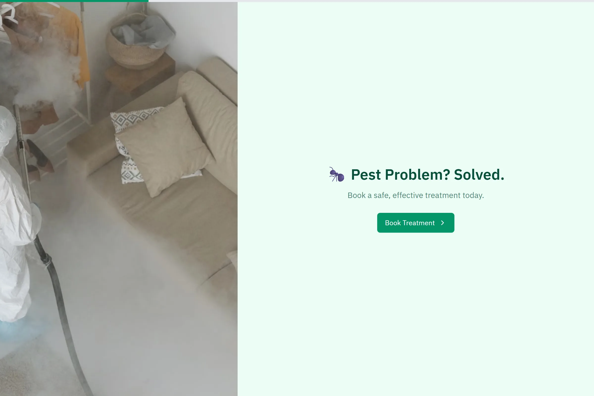 Pest Control Treatment Booking template preview