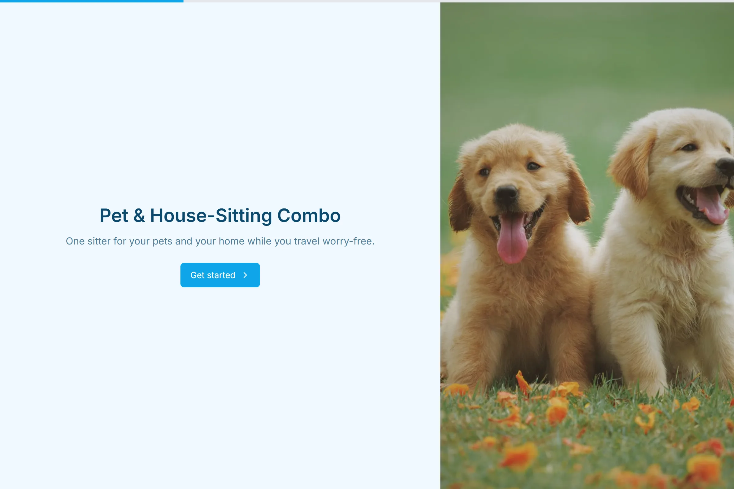 Pet & House-Sitting Combo template preview