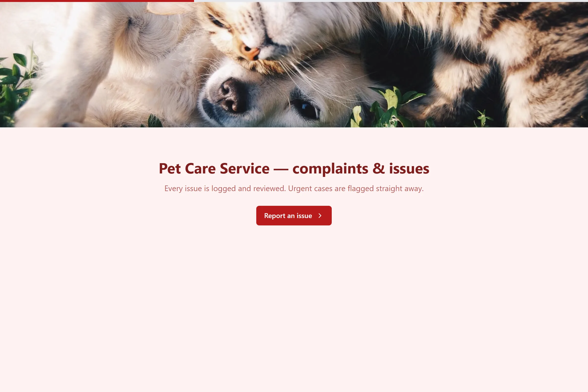 Pet Care Service Complaint / Issue Form template preview