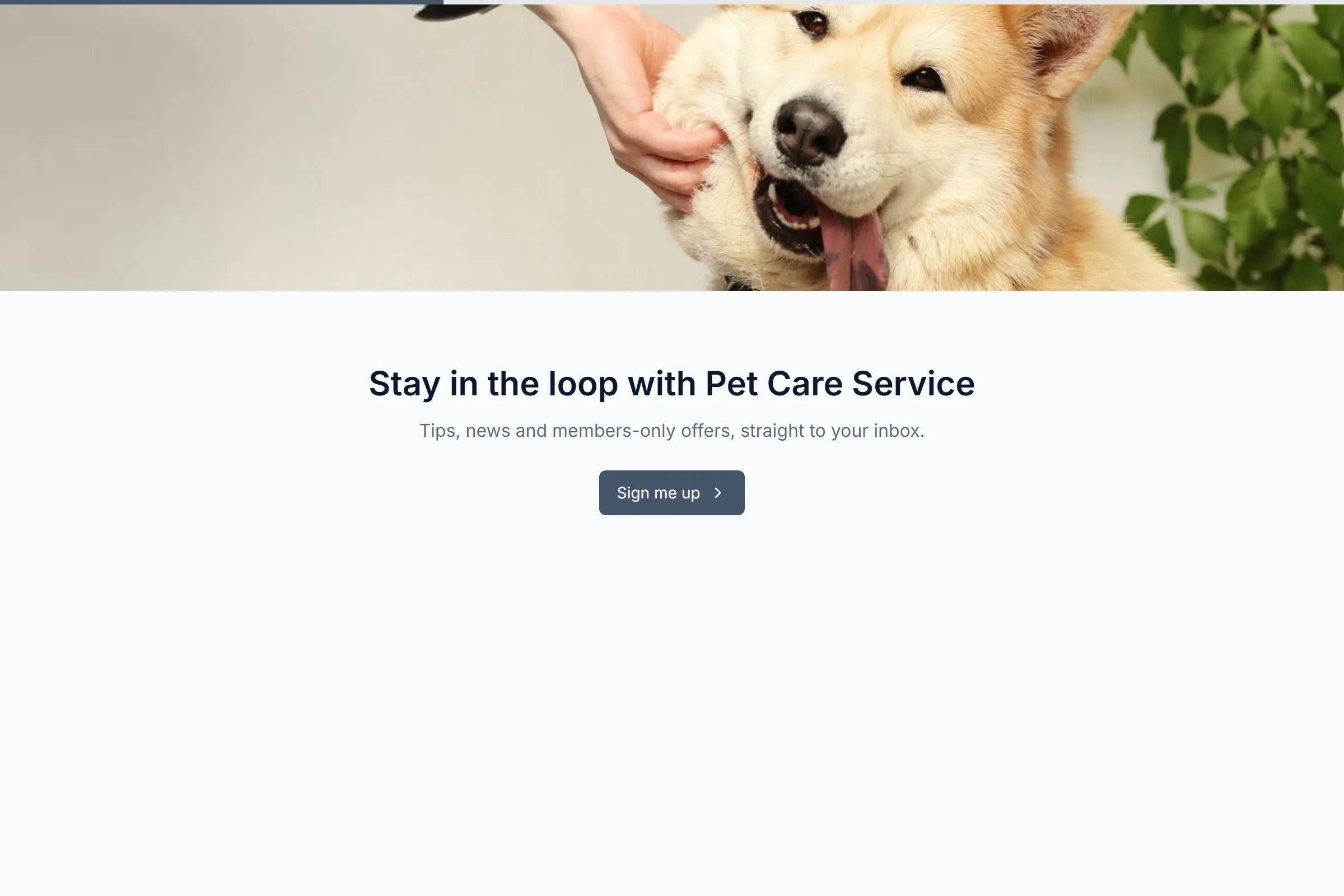 Pet Care Service Newsletter & Updates Signup template preview