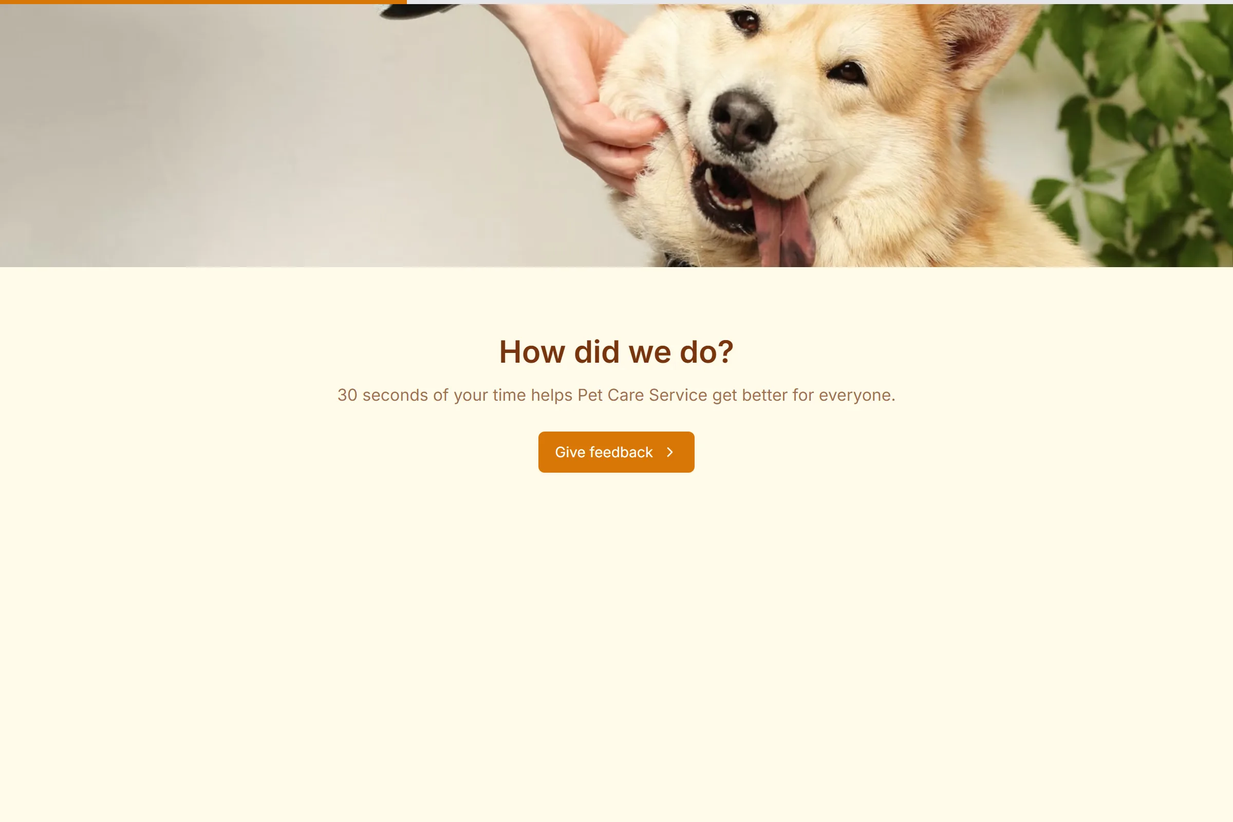 Pet Care Service Quick Feedback template preview