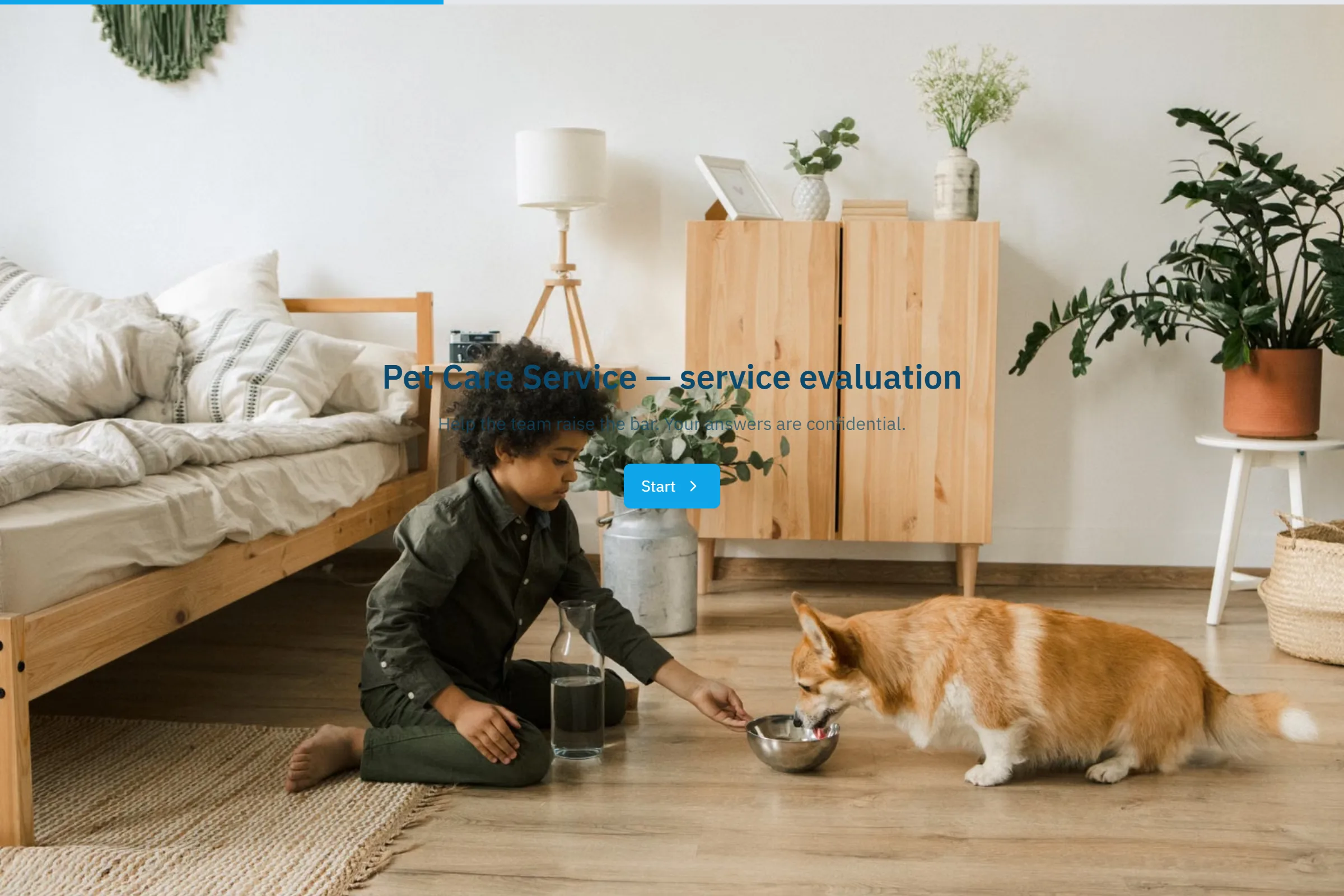 Pet Care Service Service Evaluation template preview