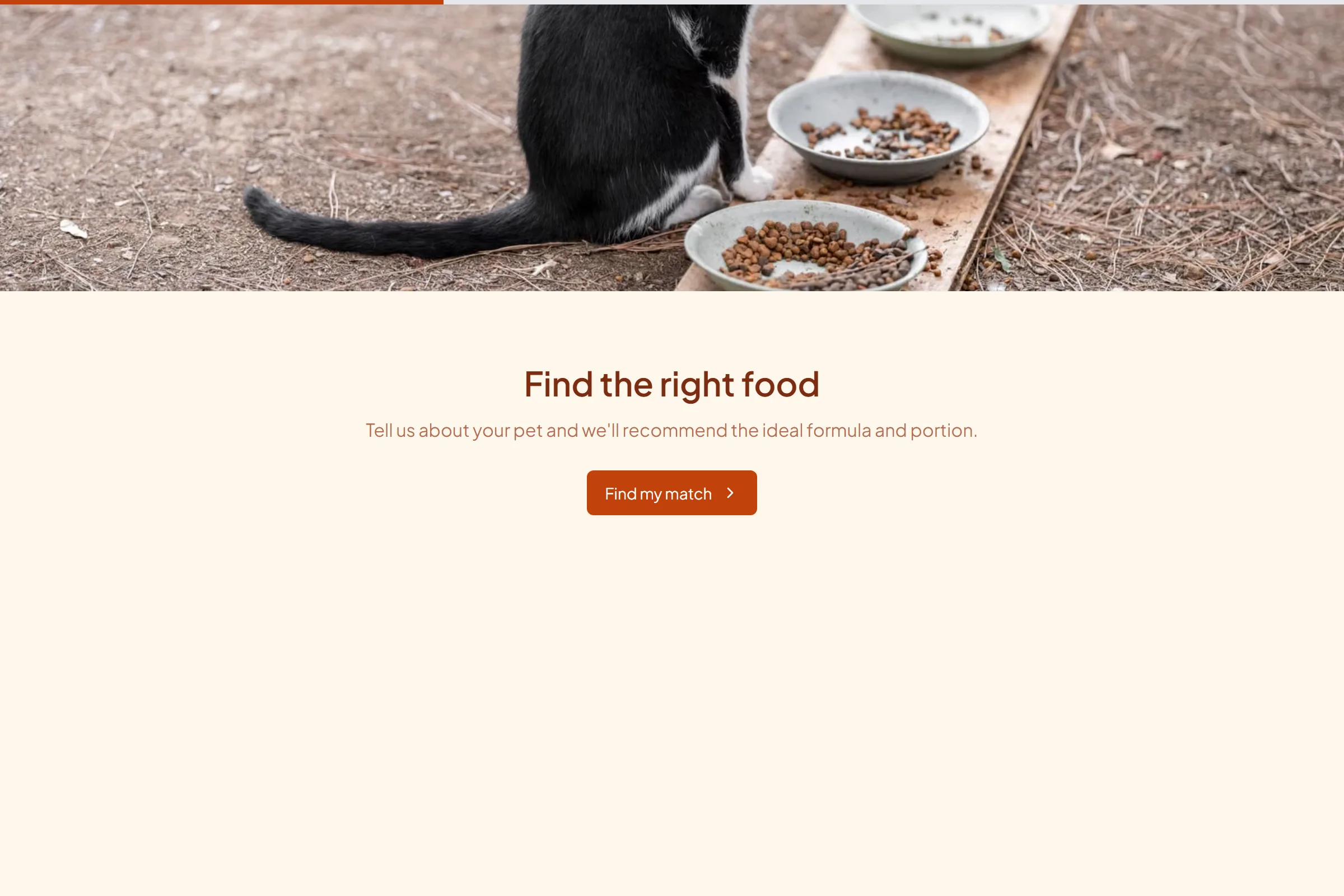 Pet Food Finder template preview