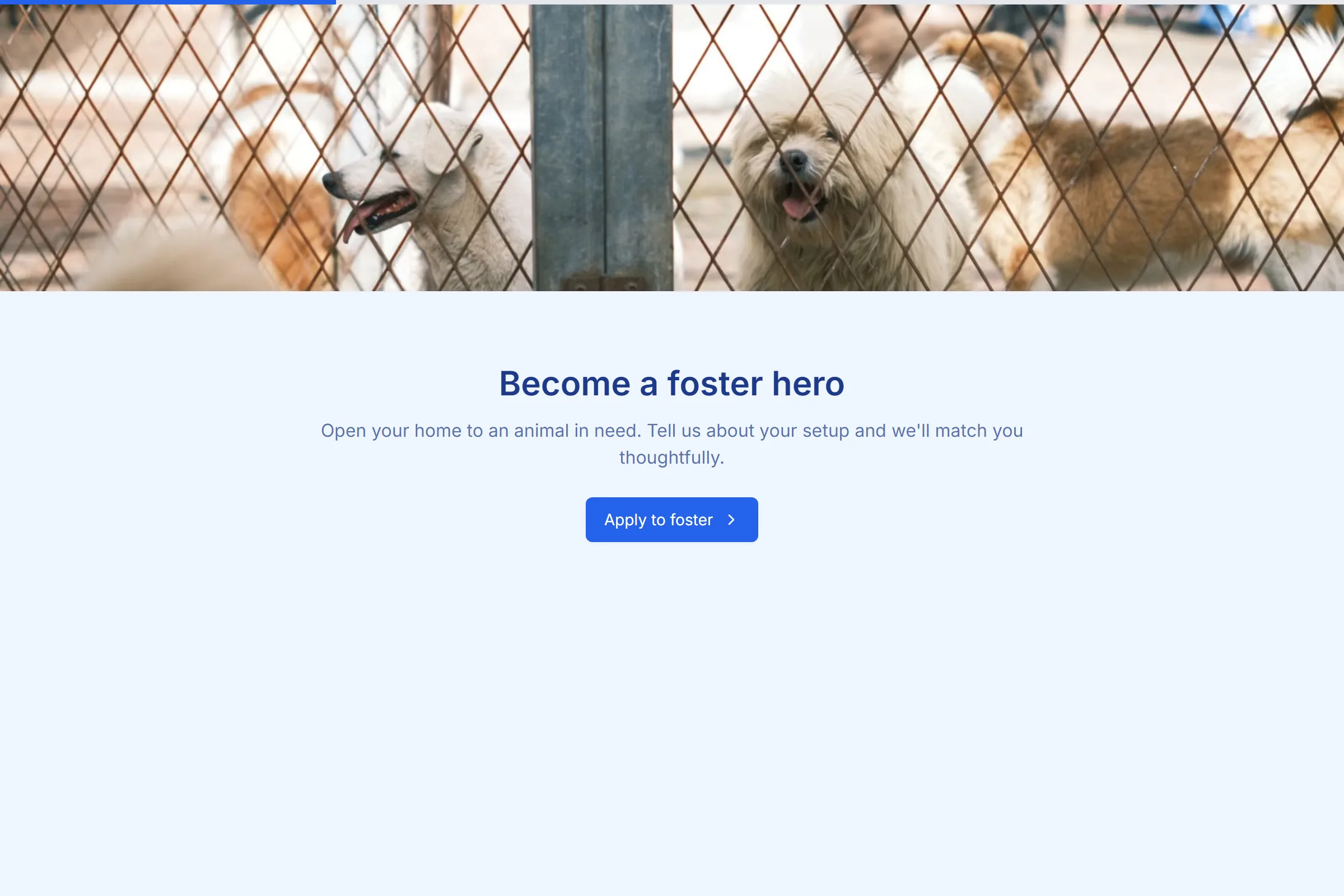 Pet Foster Application template preview