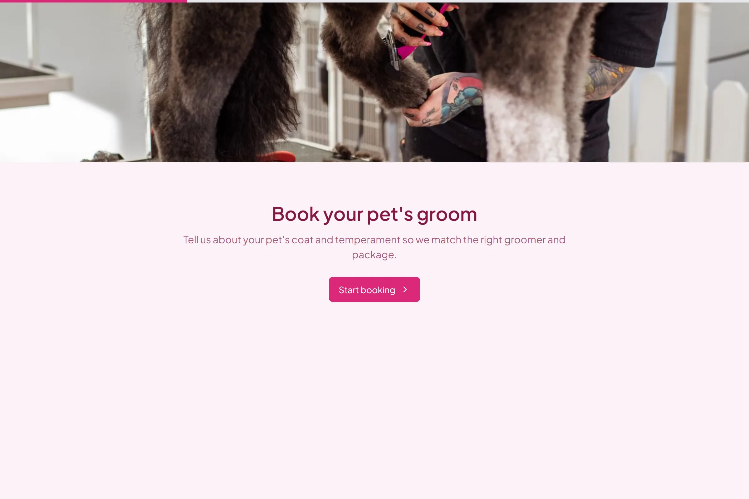 Pet Grooming Service Intake template preview