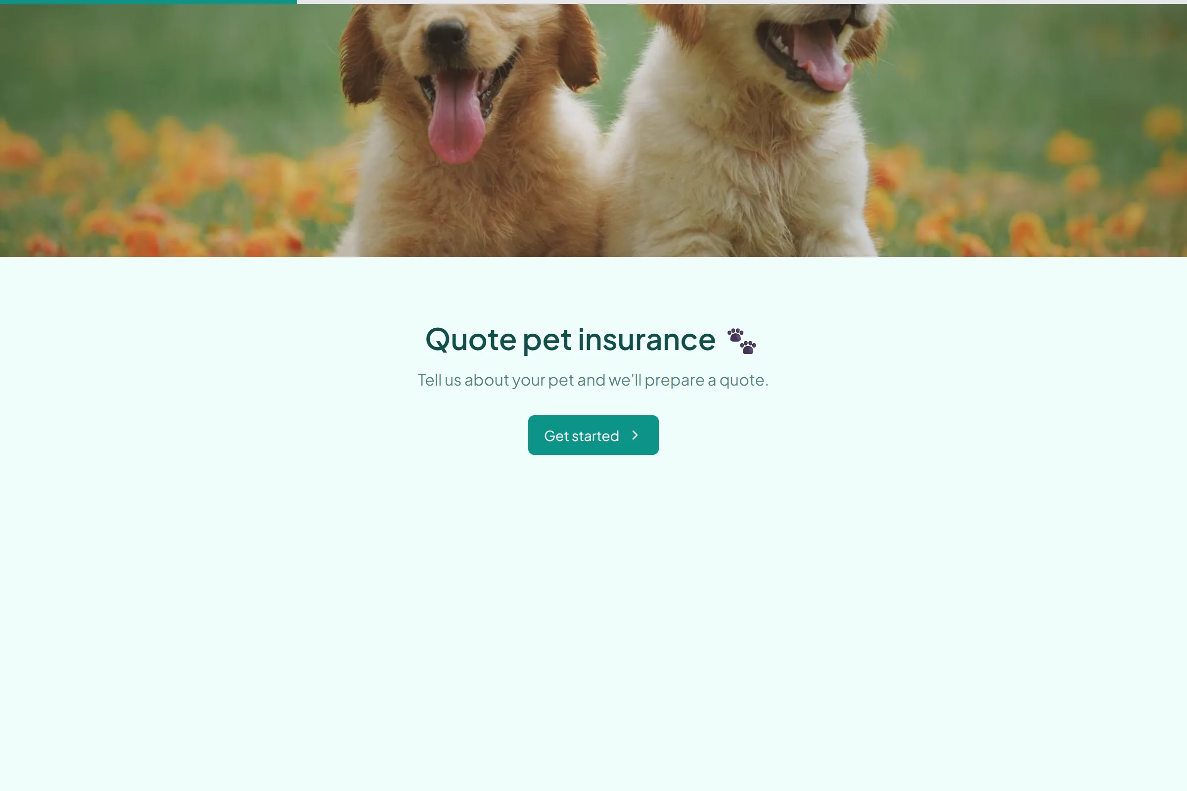 Pet Insurance Quote template preview