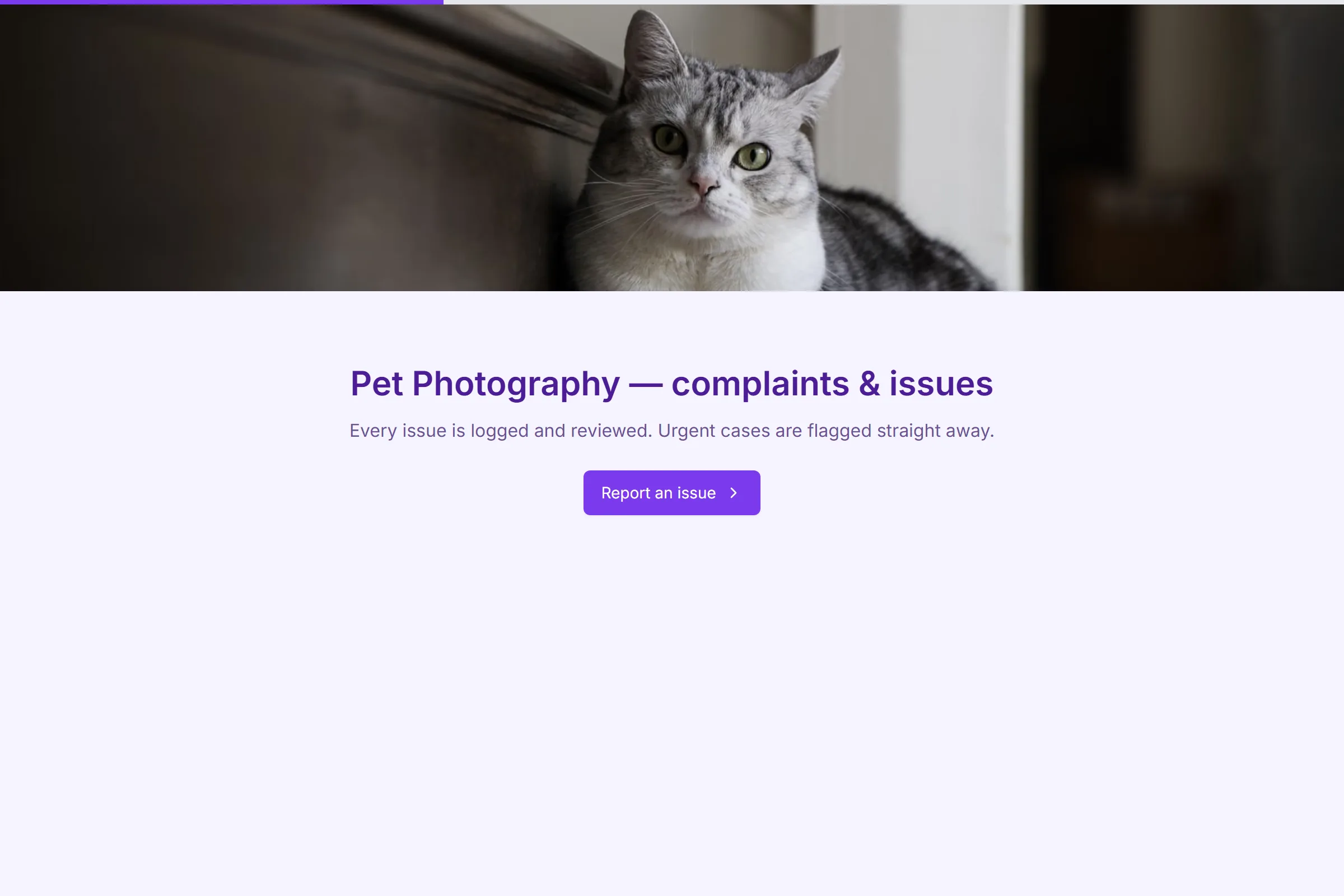 Pet Photography Complaint / Issue Form template preview