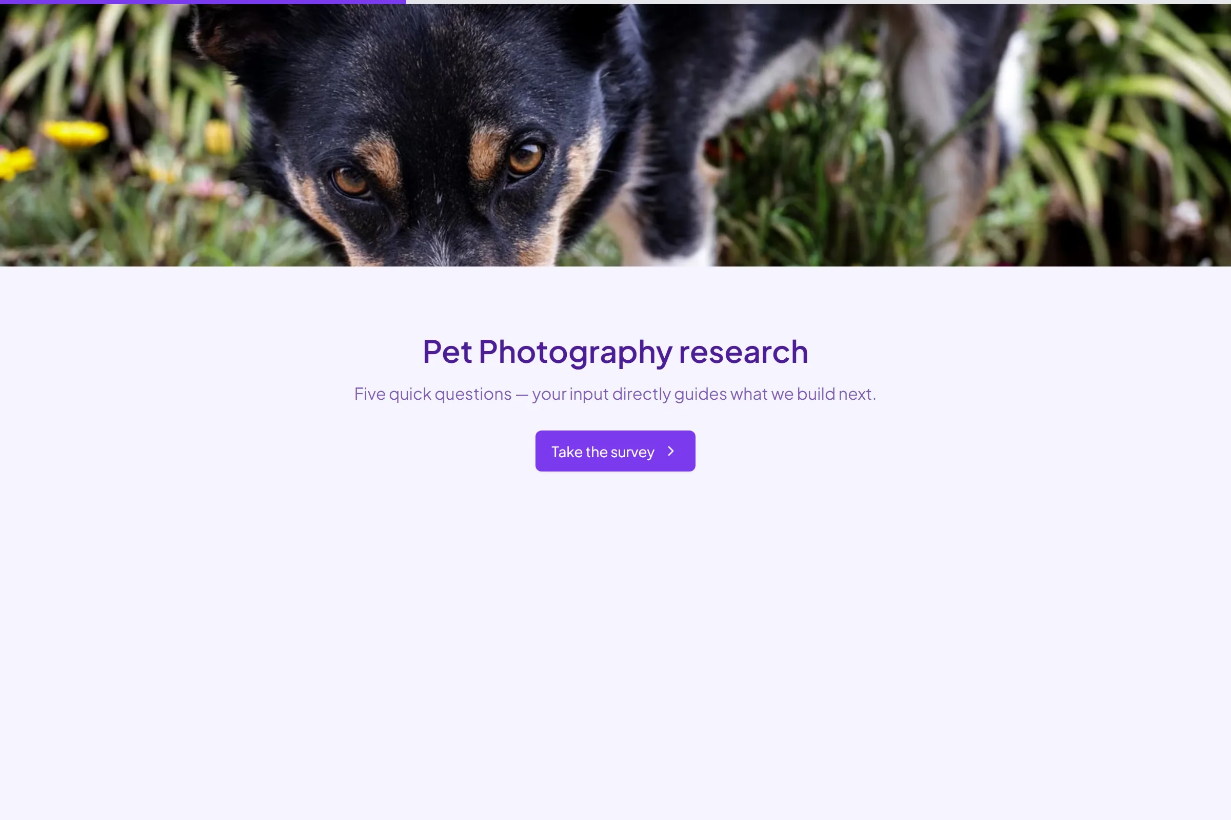 Pet Photography Market Research Survey template preview