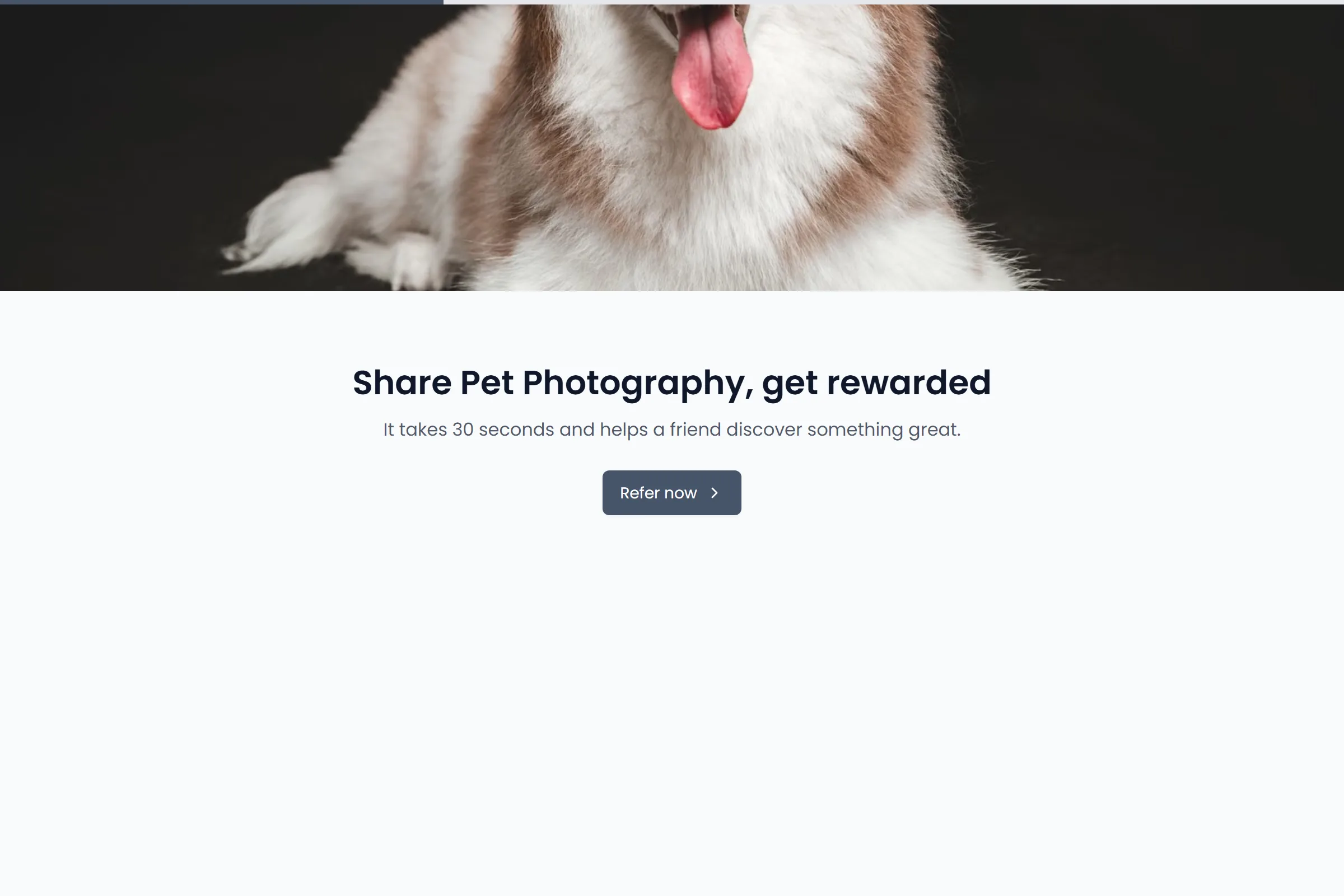 Pet Photography Referral Form template preview