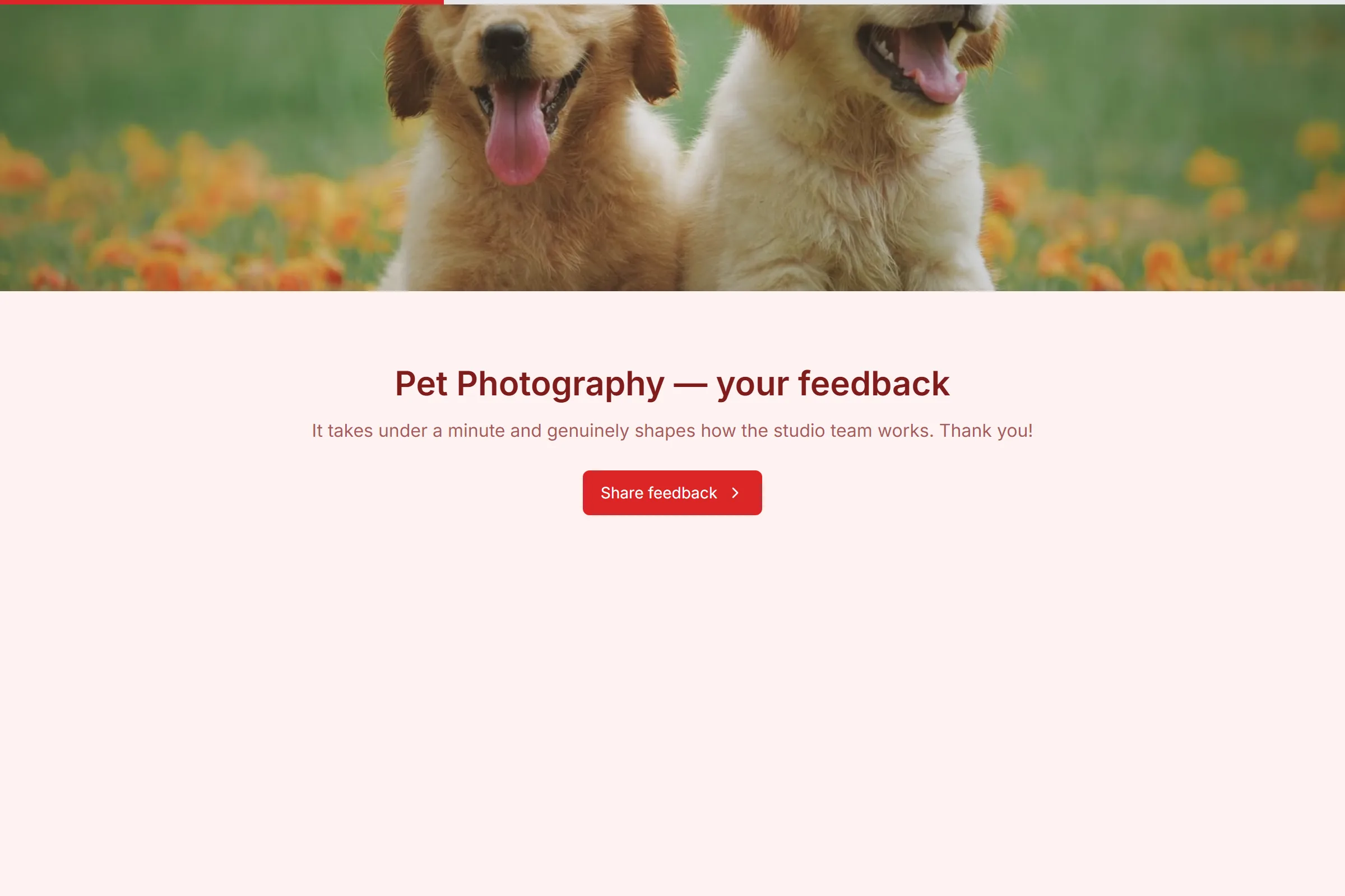 Pet Photography Satisfaction Survey template preview