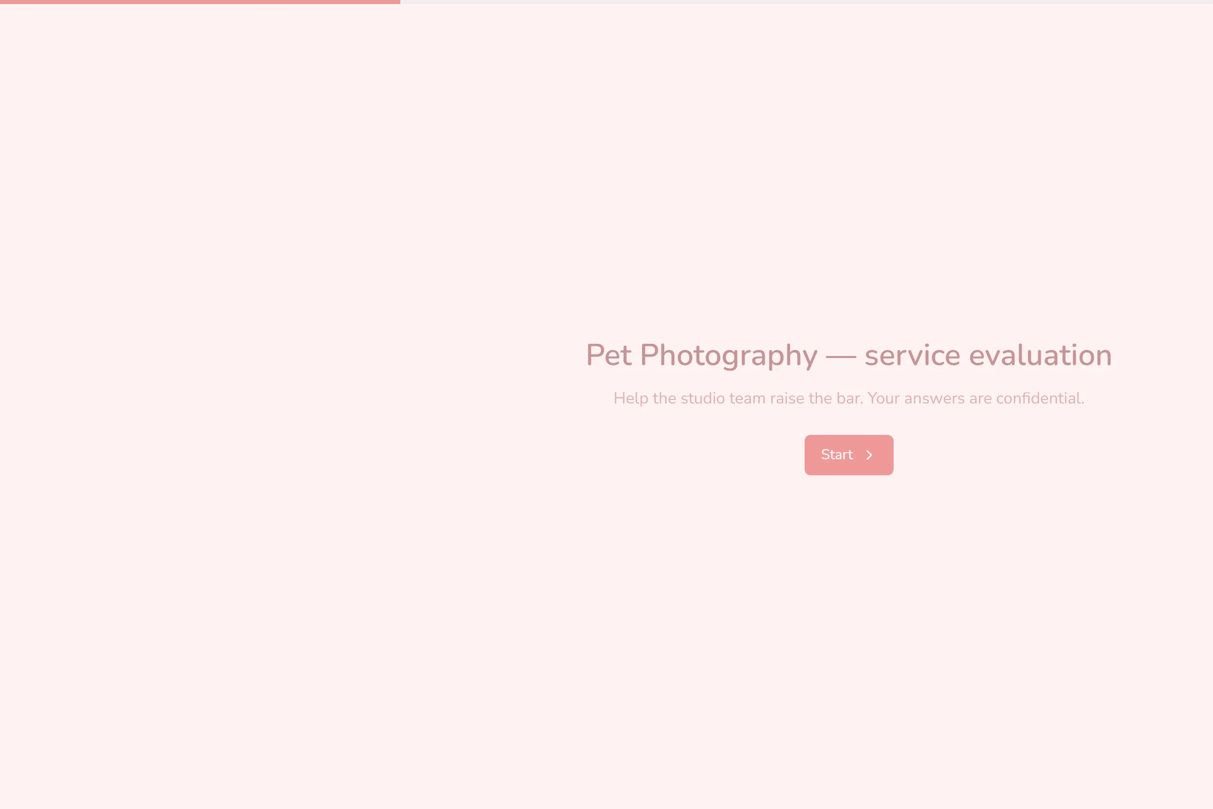 Pet Photography Service Evaluation template preview