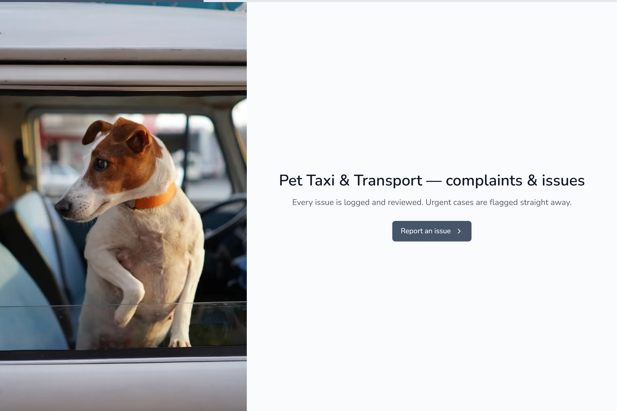 Pet Taxi & Transport Complaint / Issue Form template preview