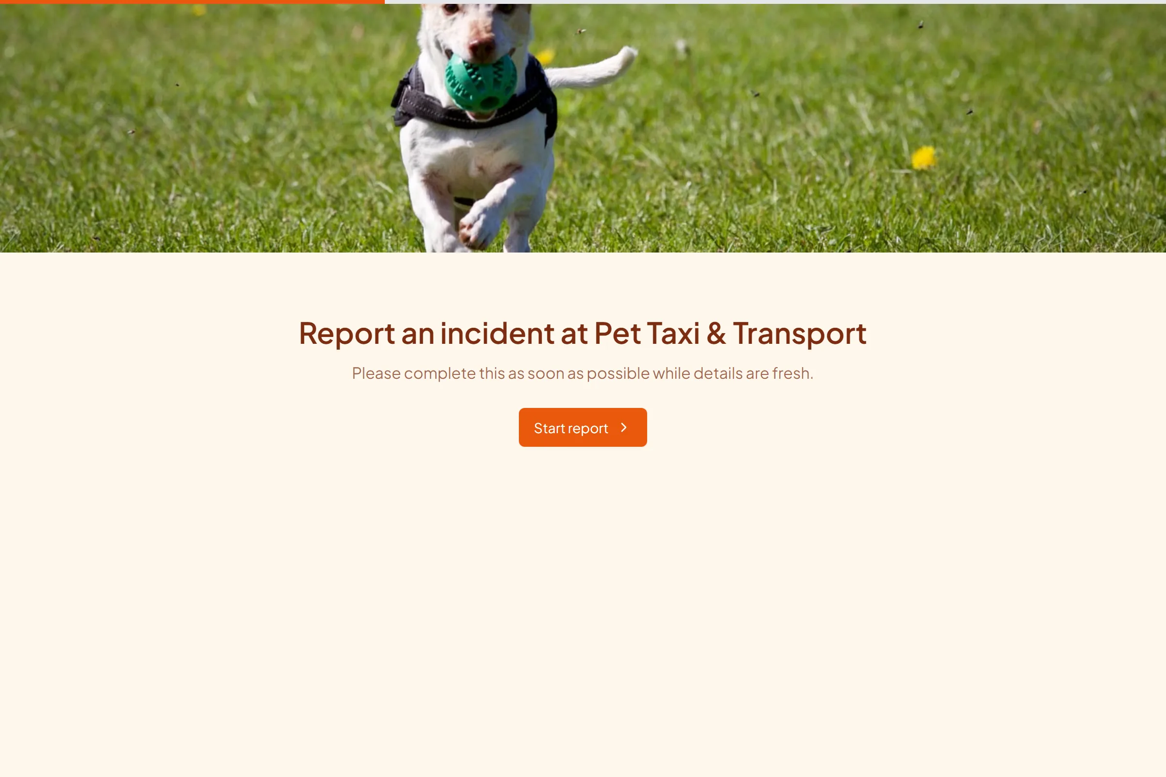 Pet Taxi & Transport Incident Report template preview