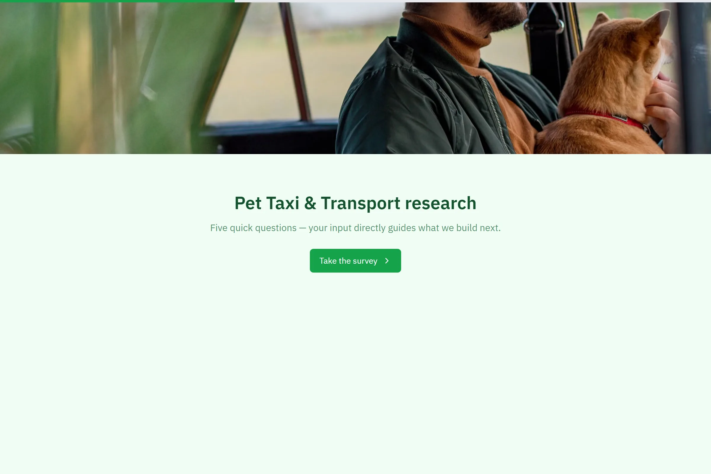 Pet Taxi & Transport Market Research Survey template preview