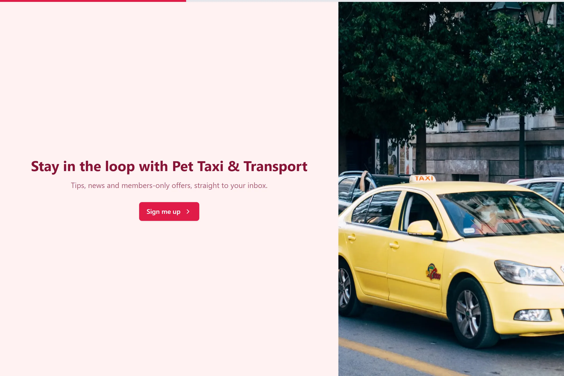 Pet Taxi & Transport Newsletter & Updates Signup template preview