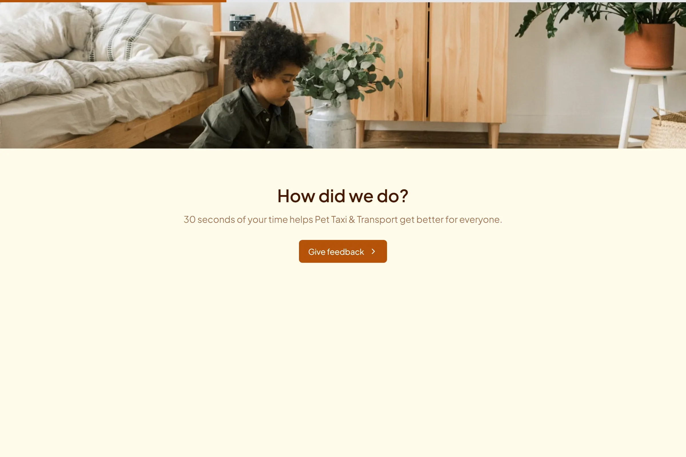 Pet Taxi & Transport Quick Feedback template preview