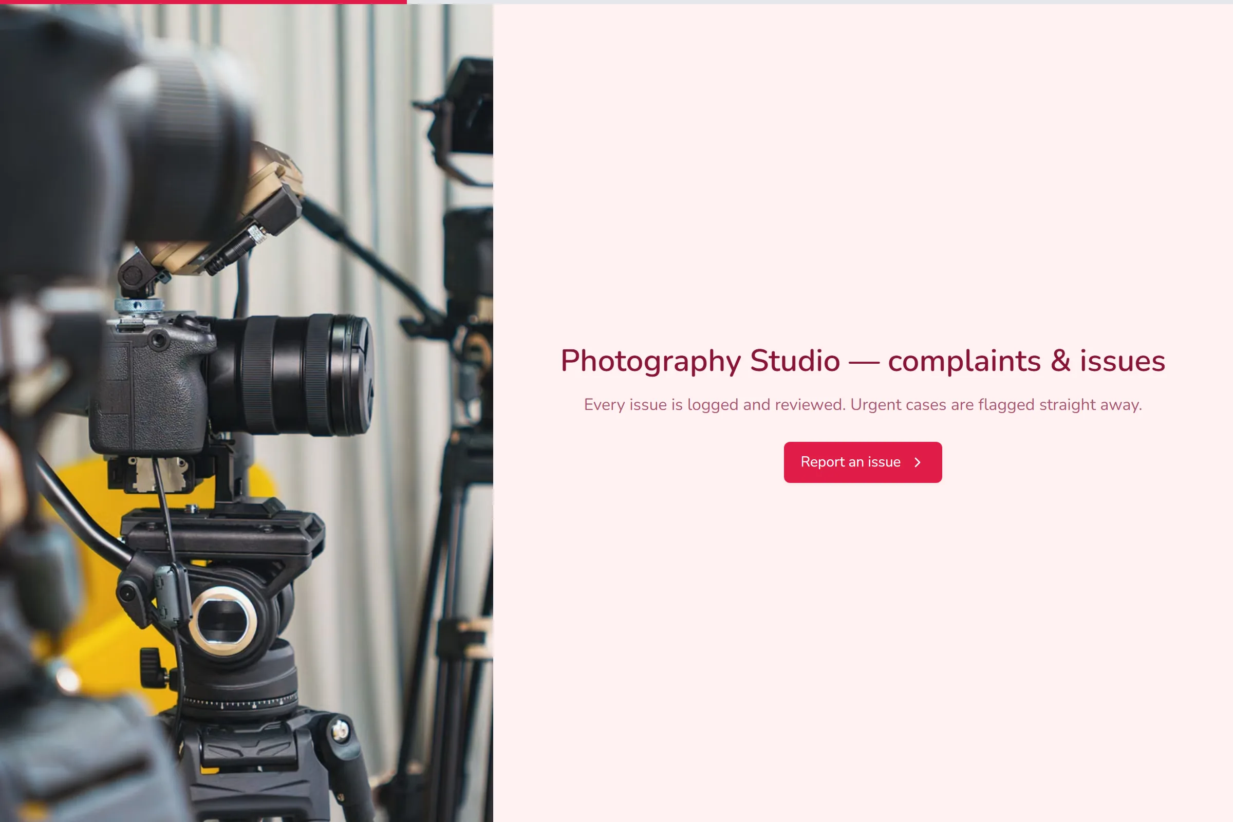 Photography Studio Complaint / Issue Form template preview