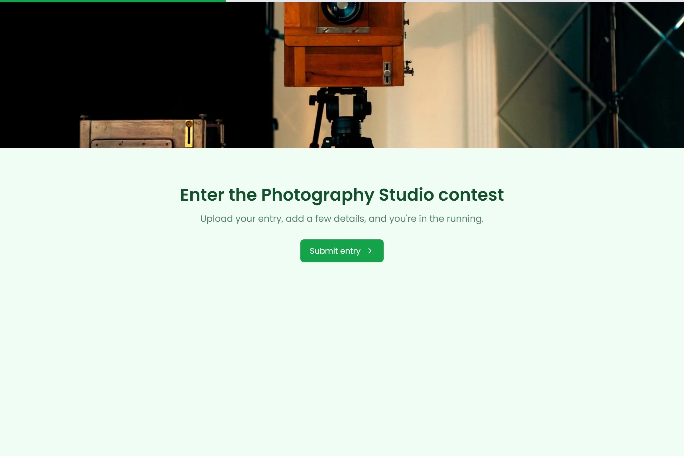 Photography Studio Photo Contest Entry template preview