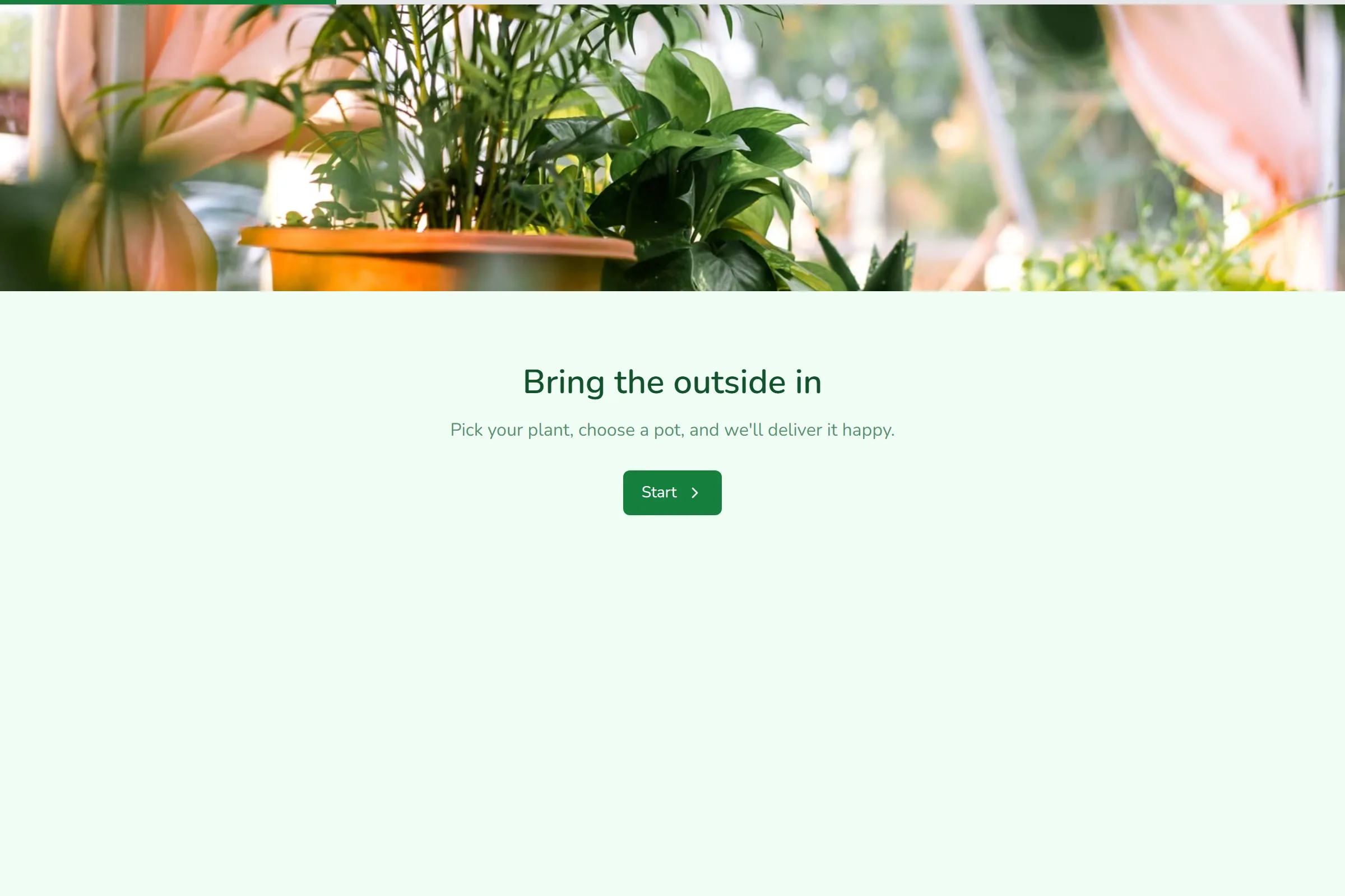 Plant Shop Order template preview