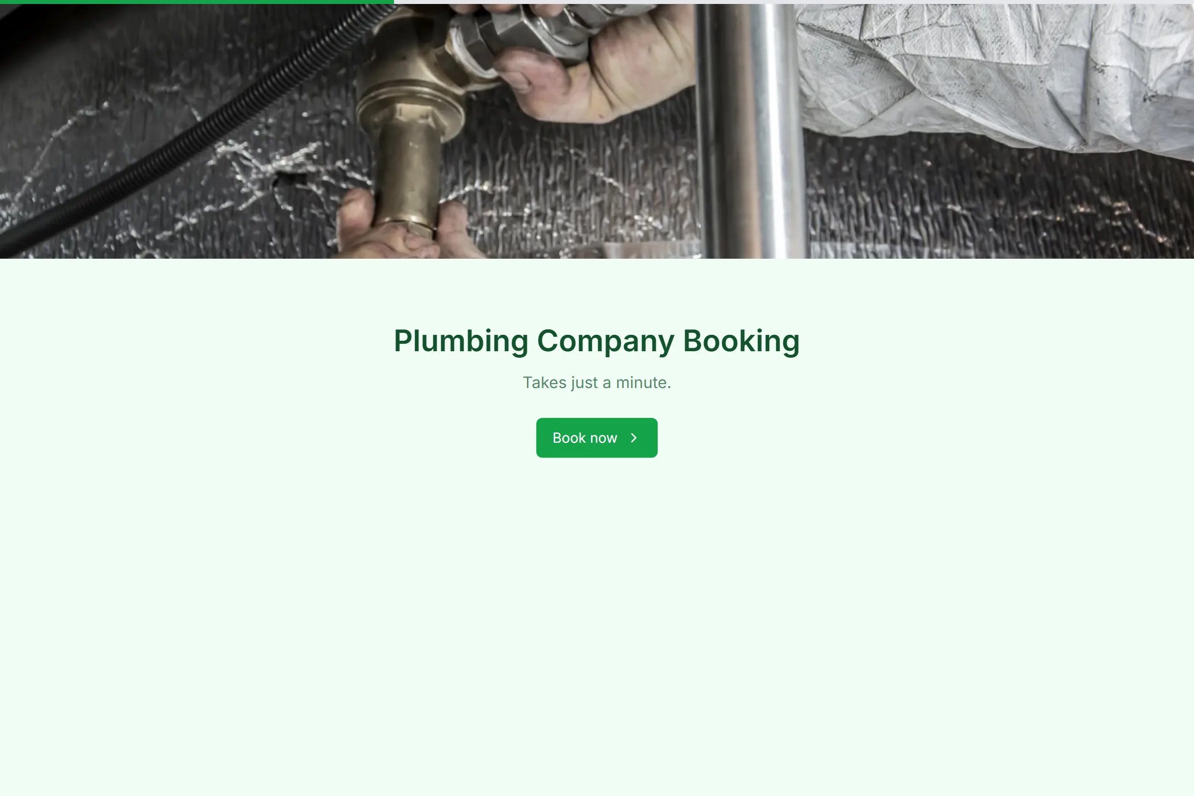 Plumbing Company Booking template preview