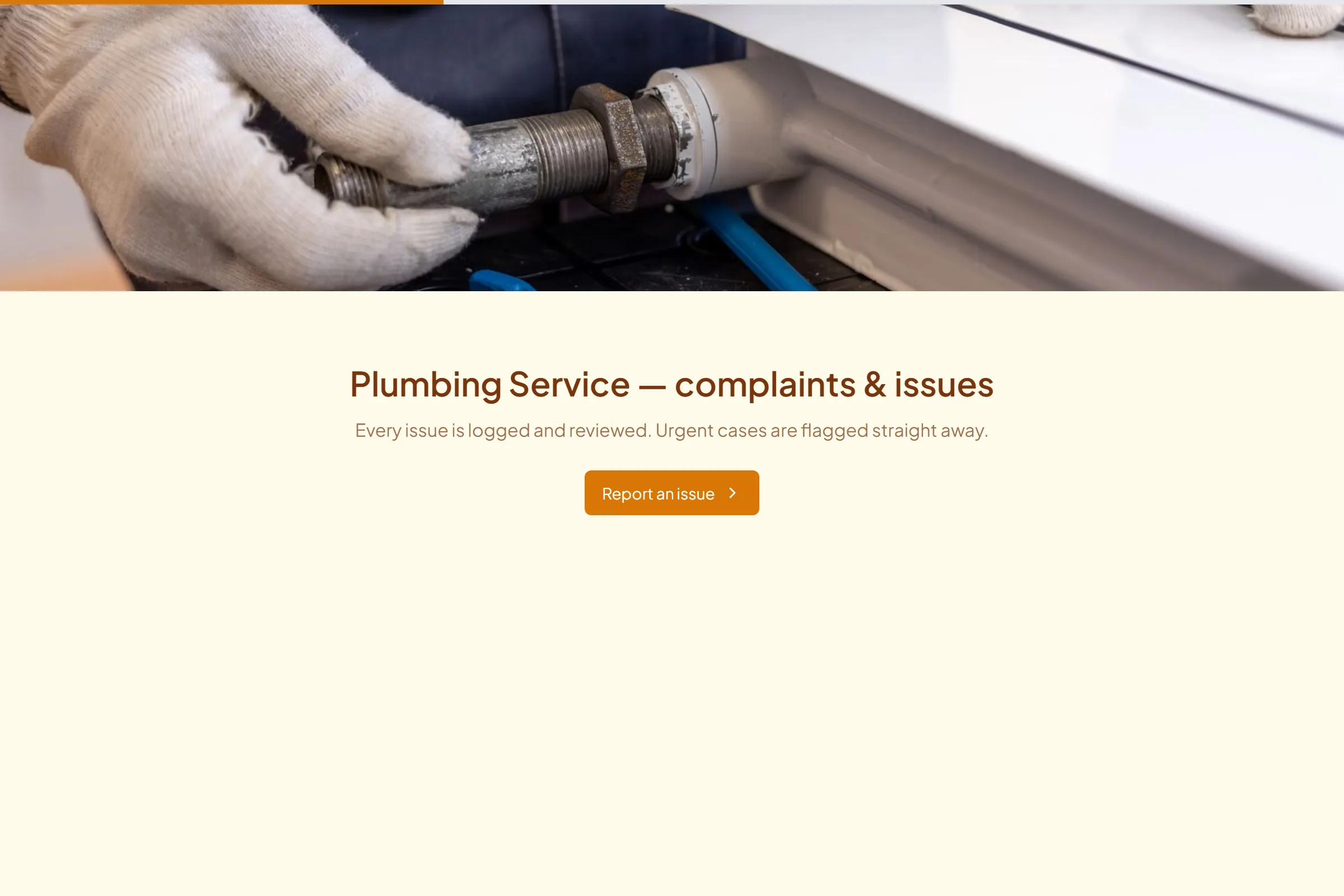 Plumbing Service Complaint / Issue Form template preview