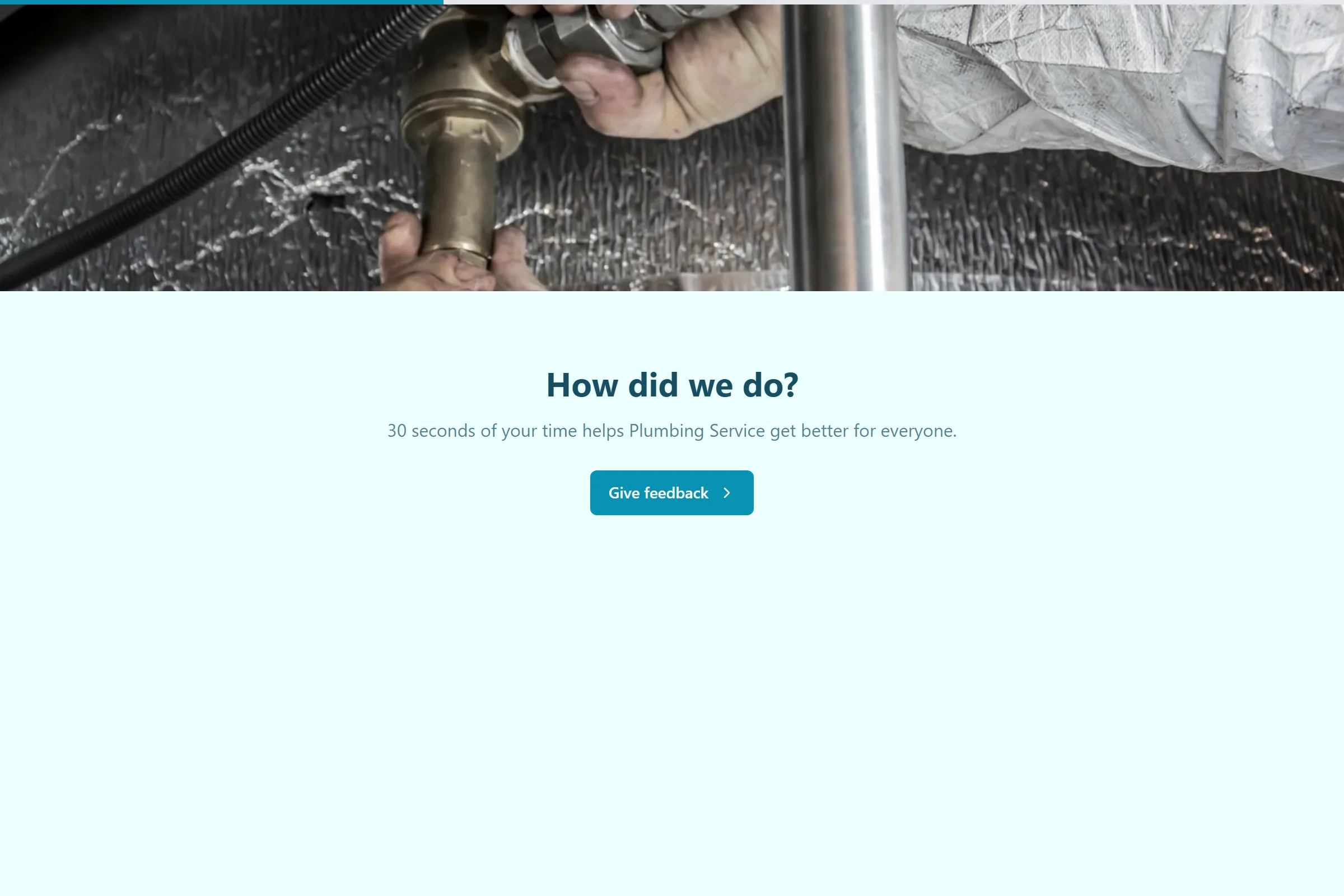 Plumbing Service Quick Feedback template preview