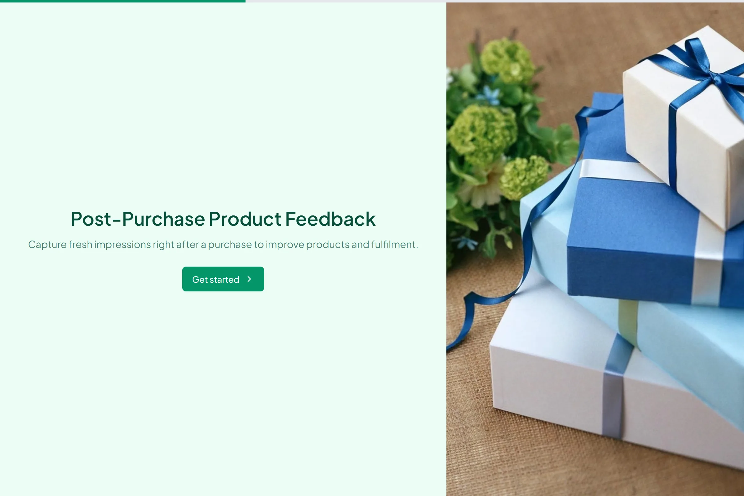 Post-Purchase Product Feedback template preview
