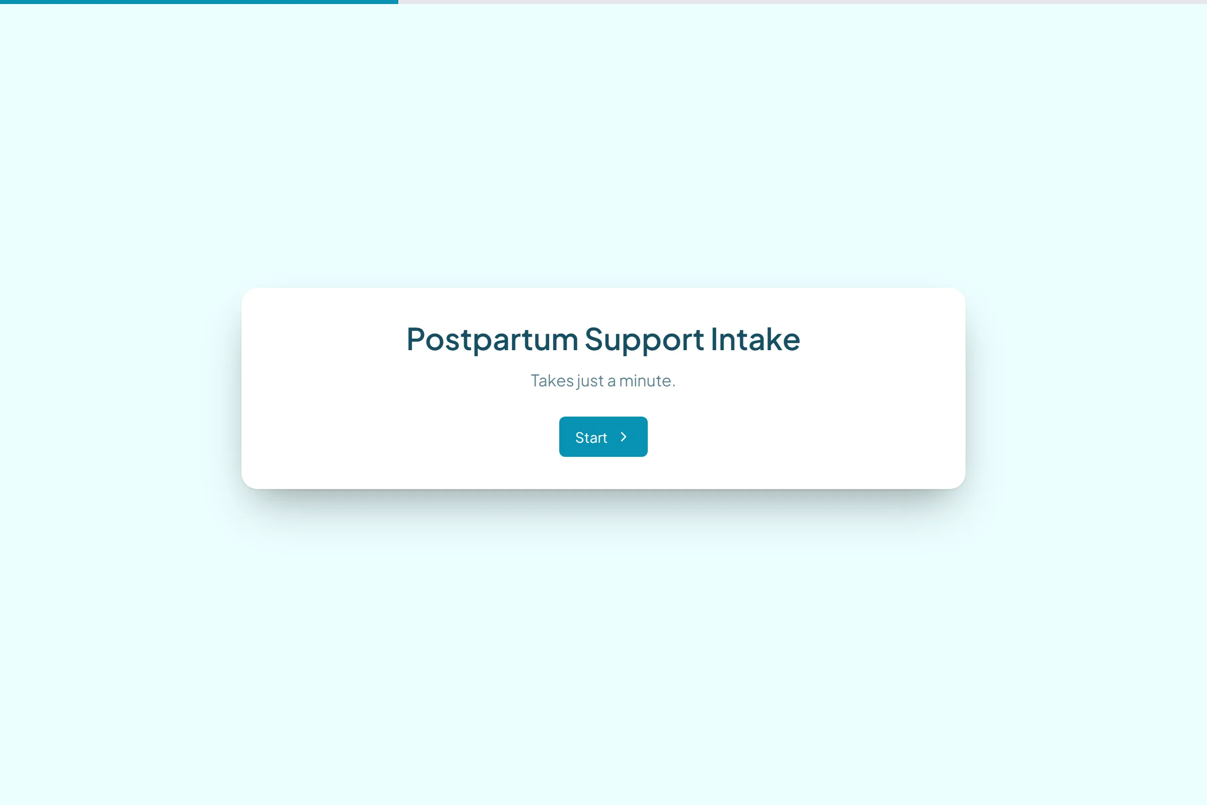 Postpartum Support Intake template preview