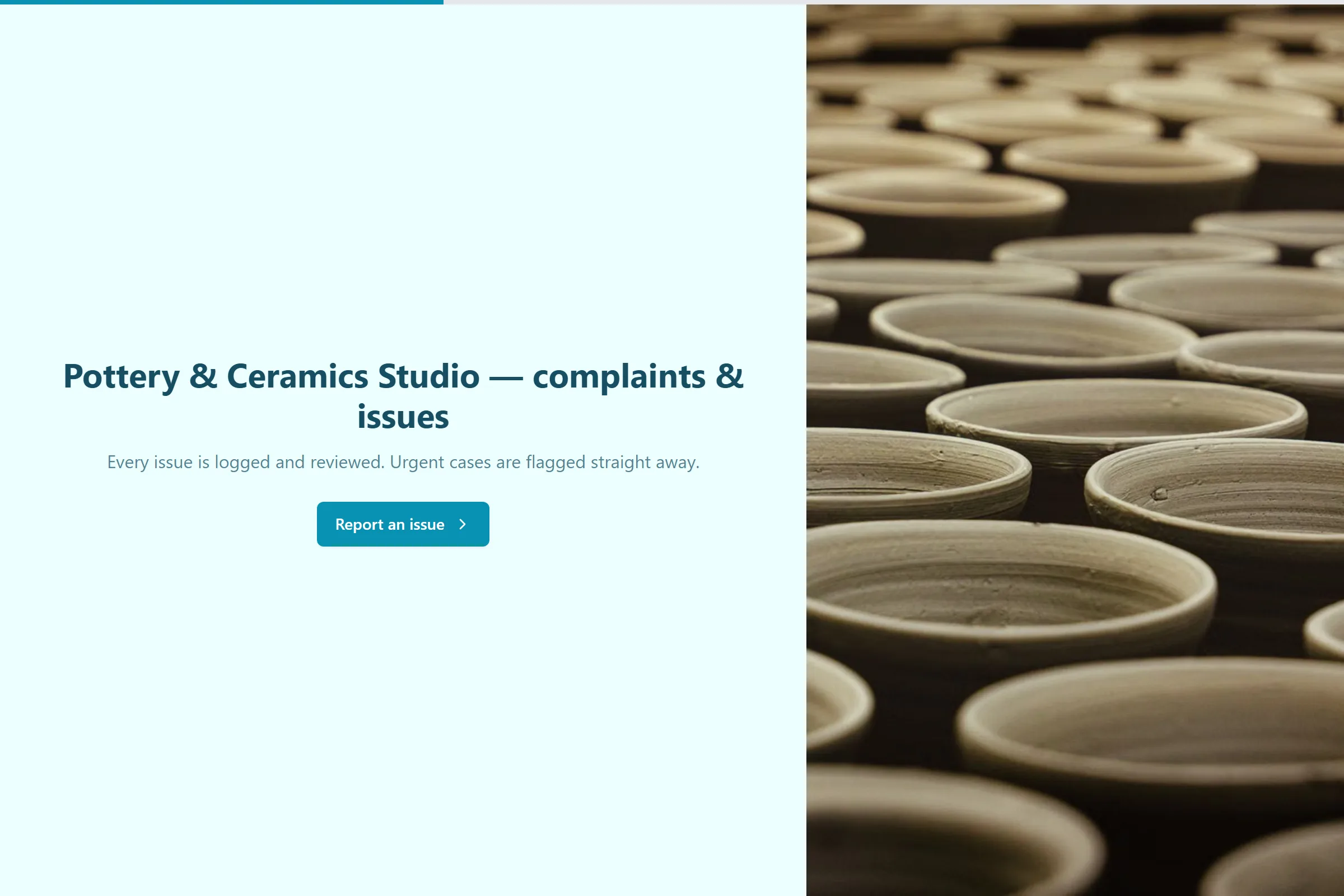 Pottery & Ceramics Studio Complaint / Issue Form template preview