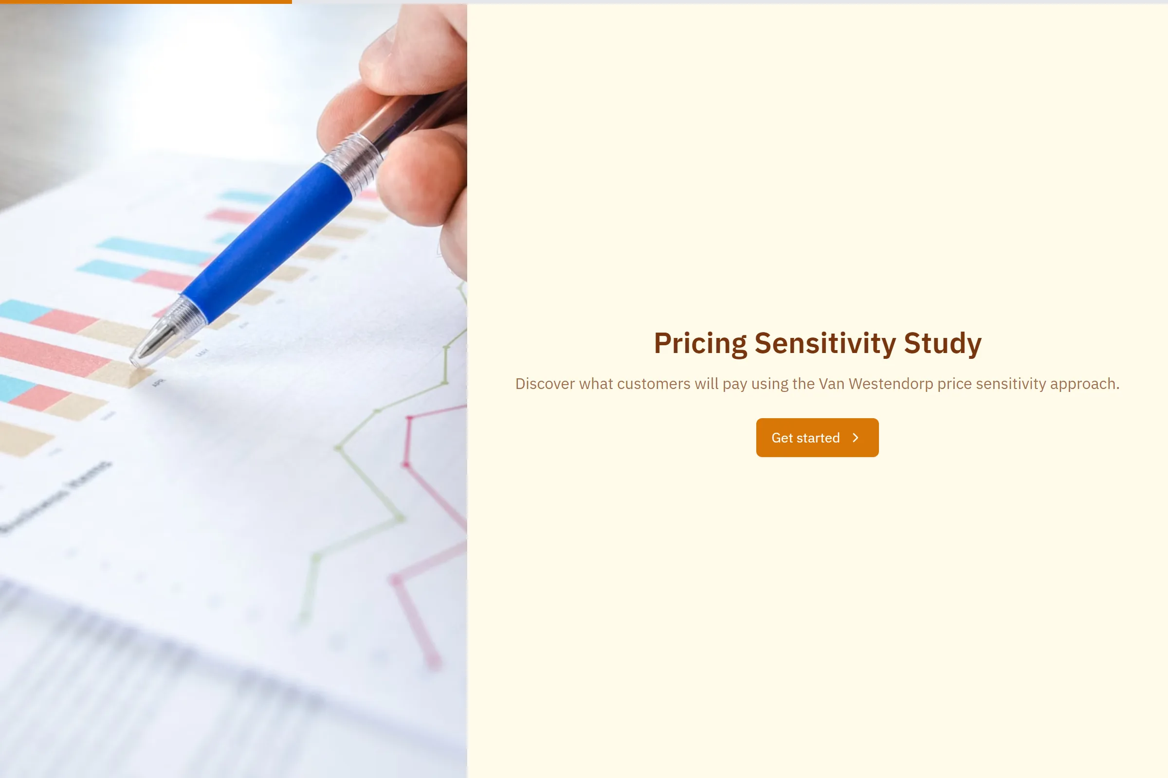 Pricing Sensitivity Study template preview