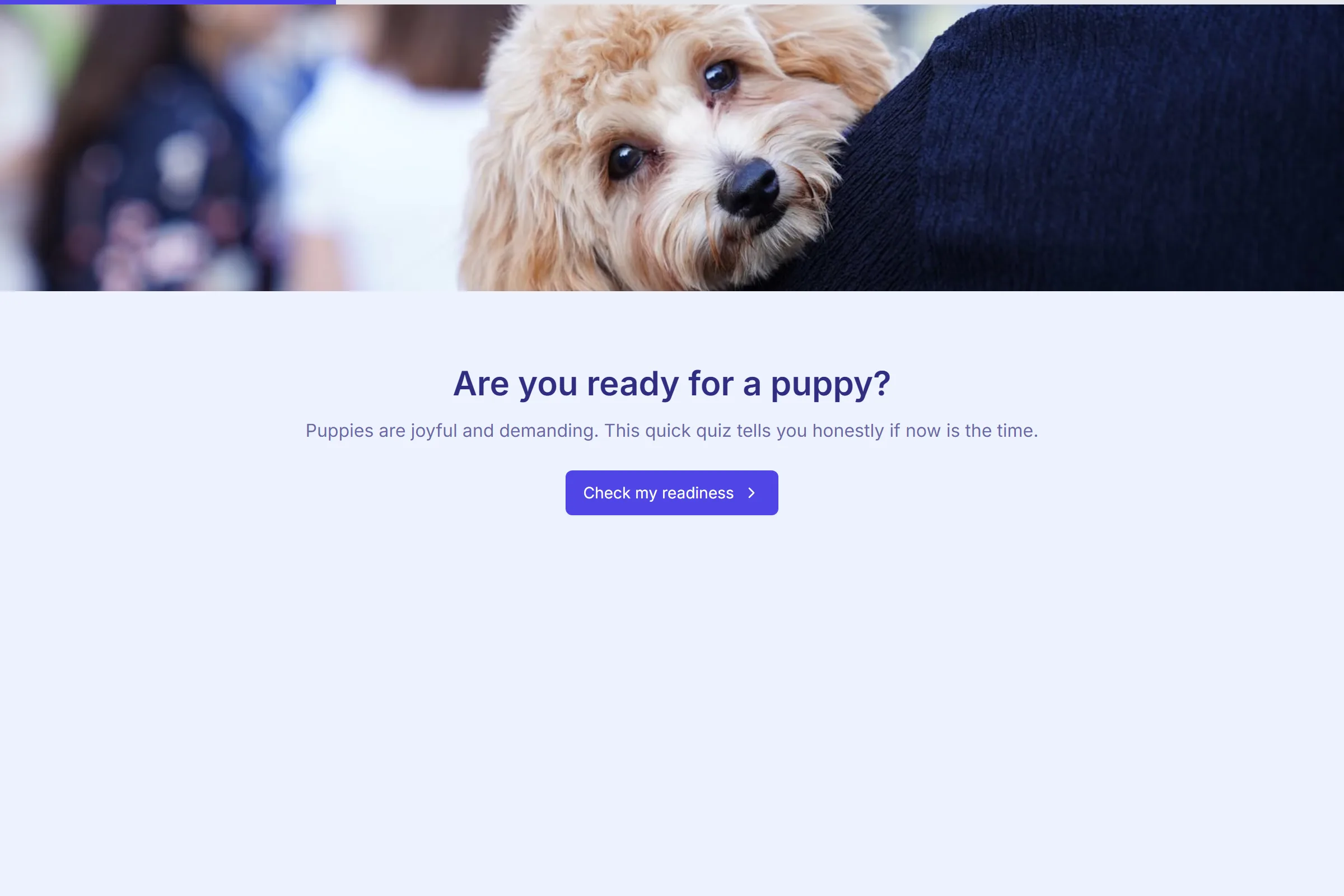 Puppy Readiness Scorer template preview