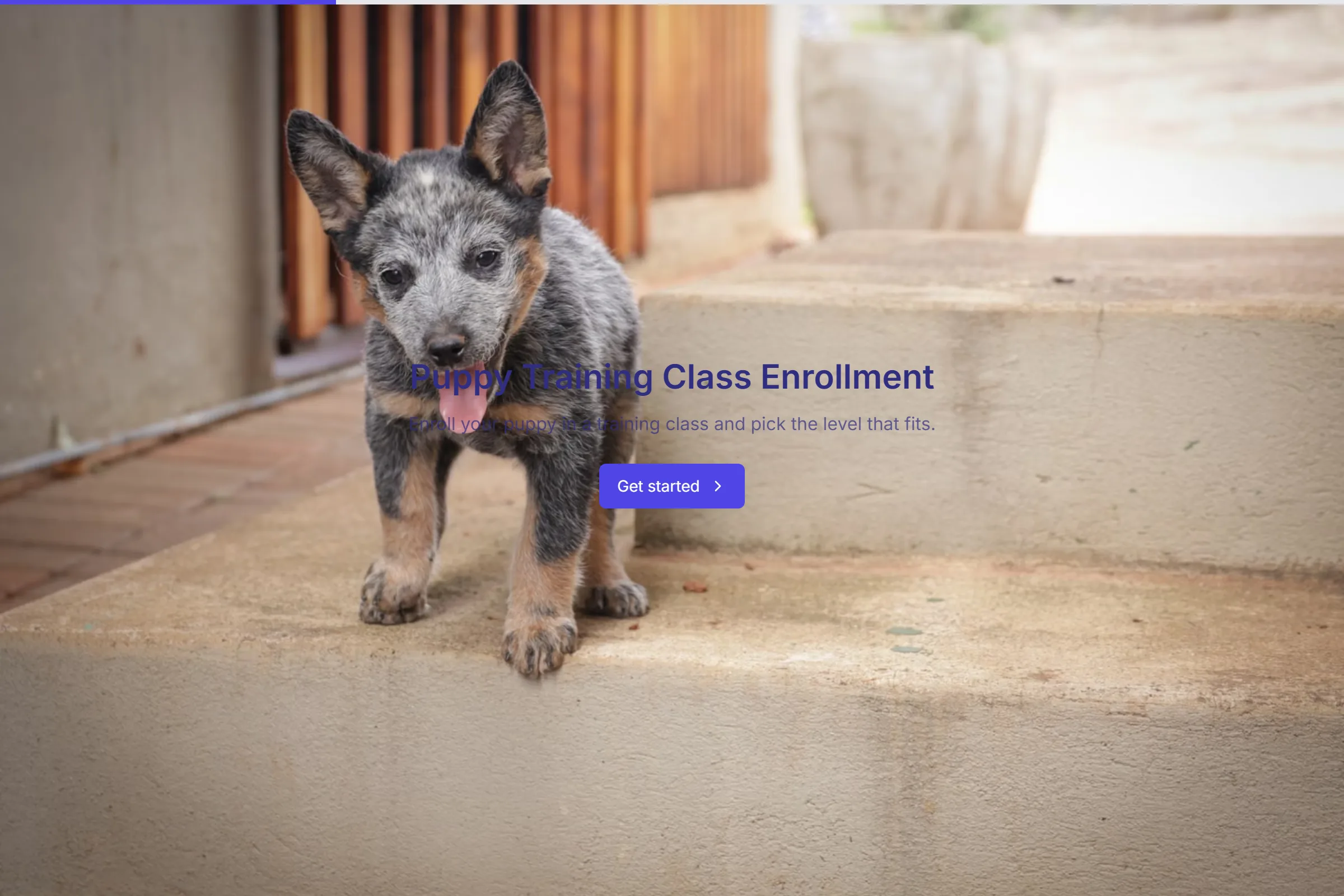 Puppy Training Class Enrollment template preview