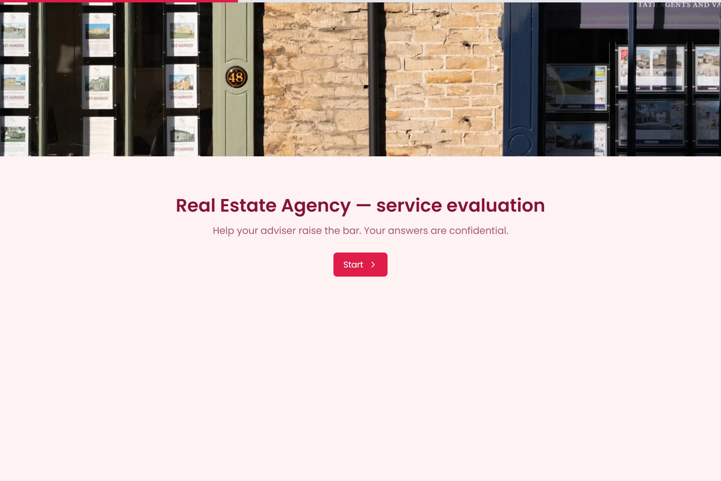Real Estate Agency Service Evaluation template preview