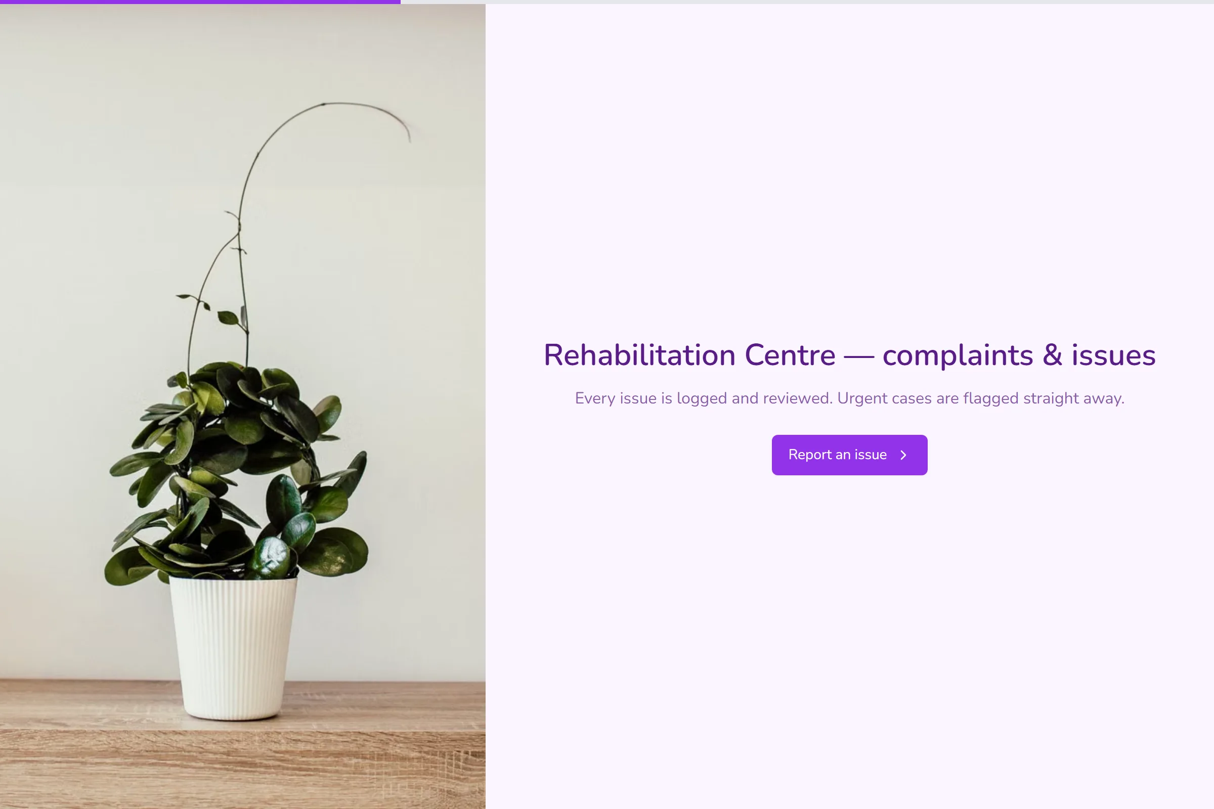 Rehabilitation Centre Complaint / Issue Form template preview