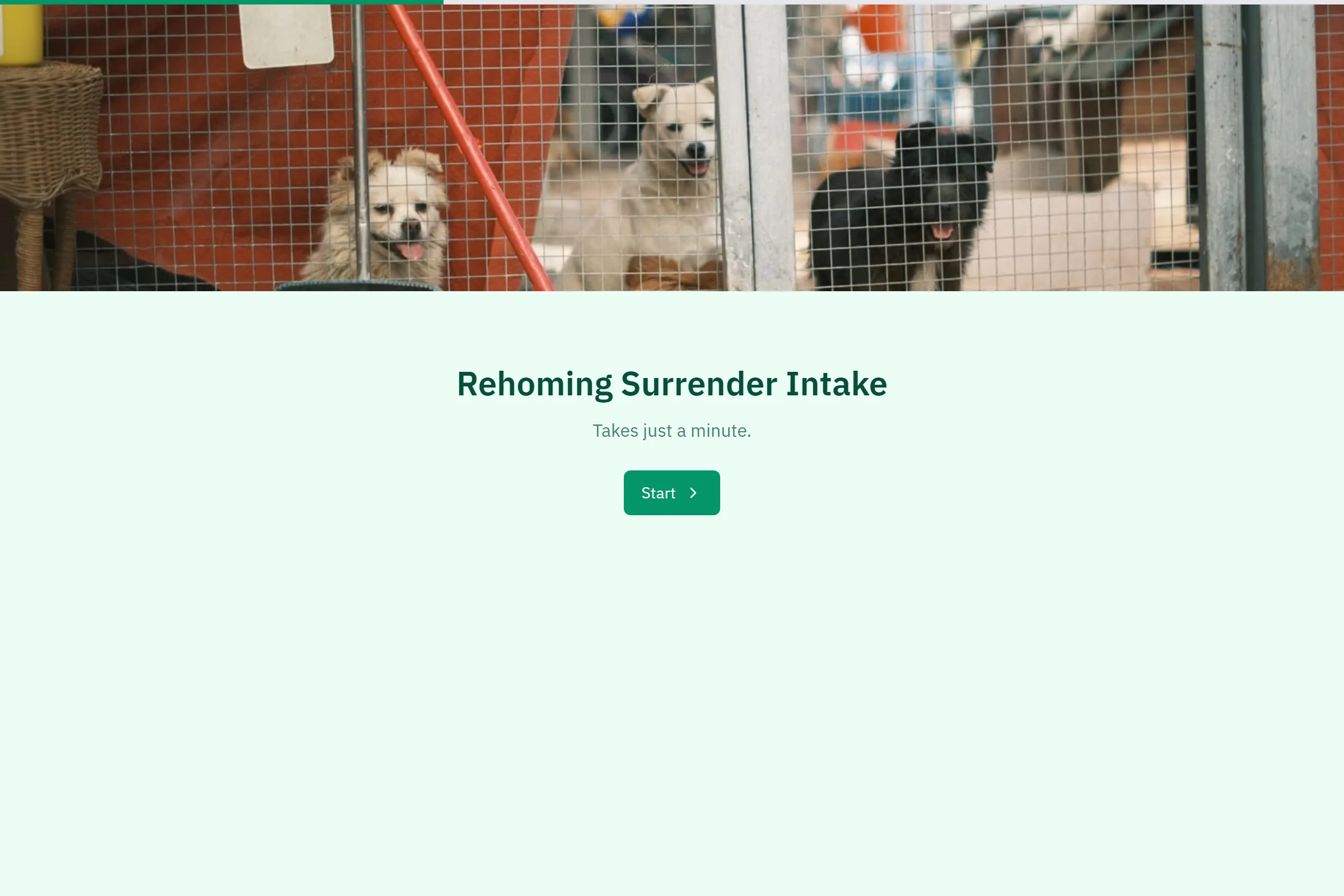 Rehoming Surrender Intake template preview