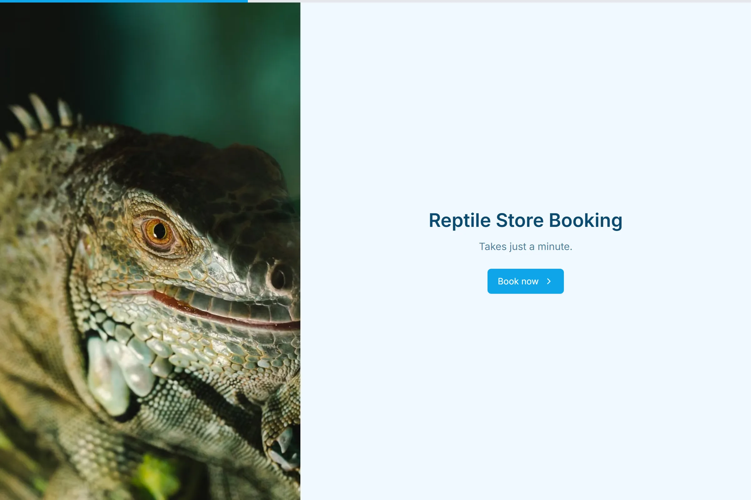 Reptile Store Booking template preview