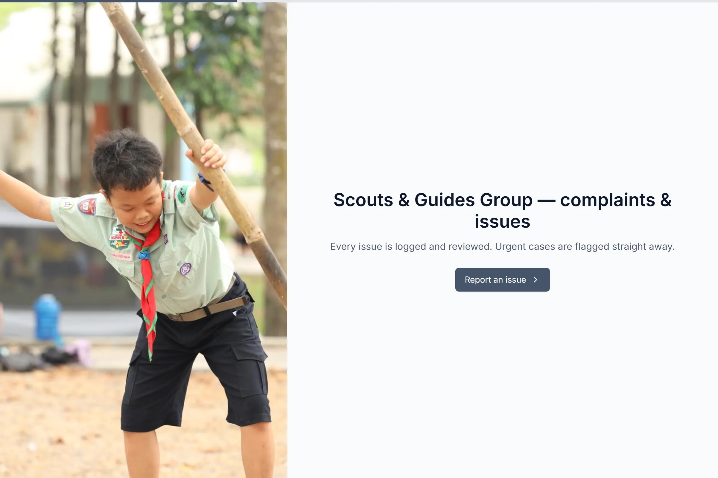 Scouts & Guides Group Complaint / Issue Form template preview
