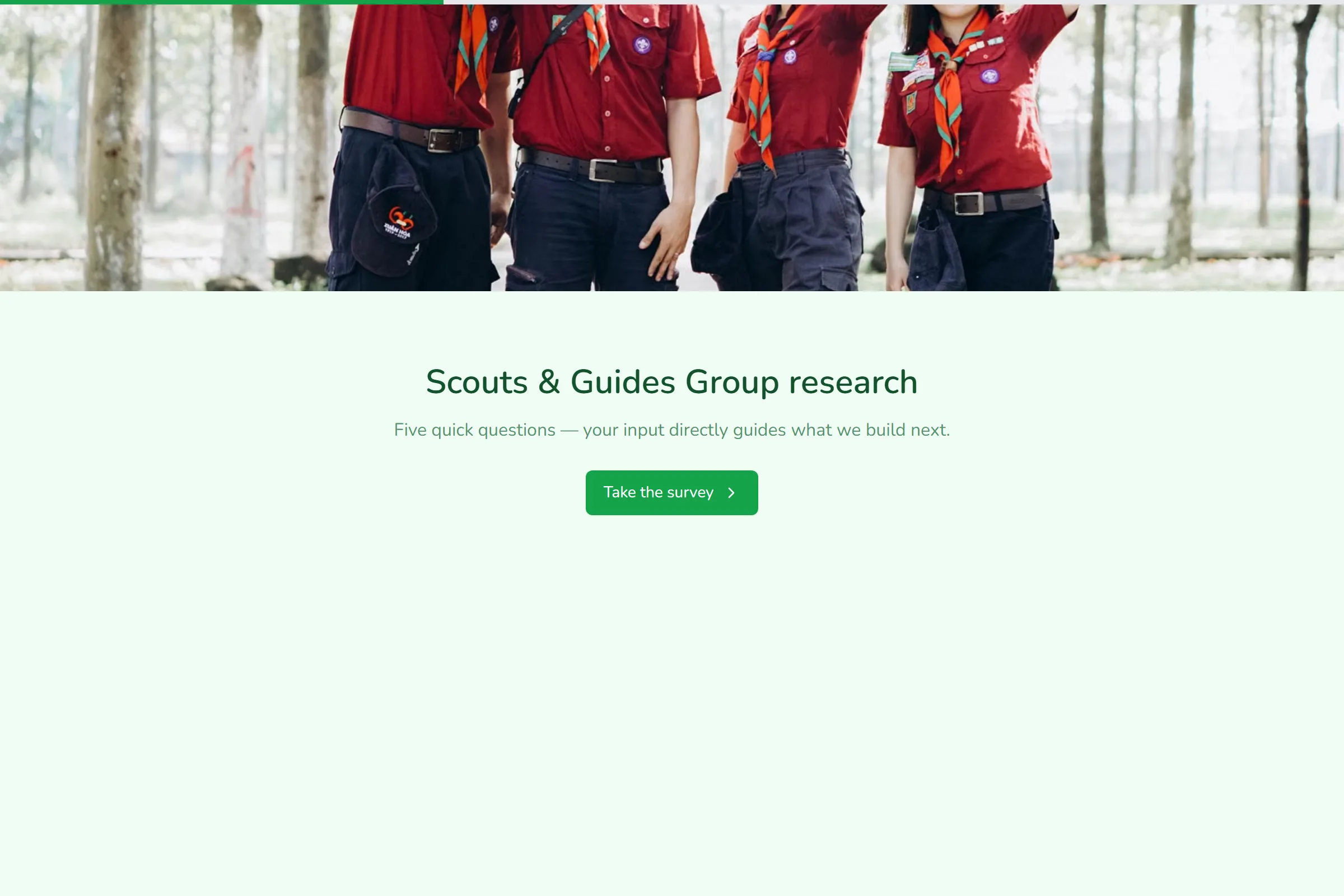 Scouts & Guides Group Market Research Survey template preview