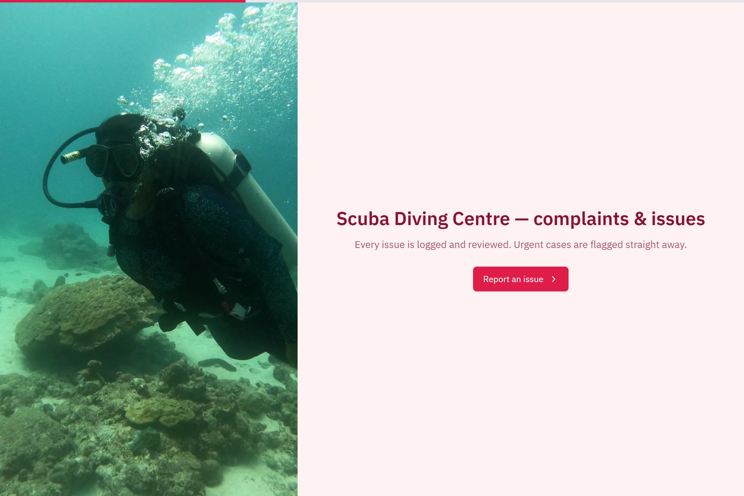 Scuba Diving Centre Complaint / Issue Form template preview