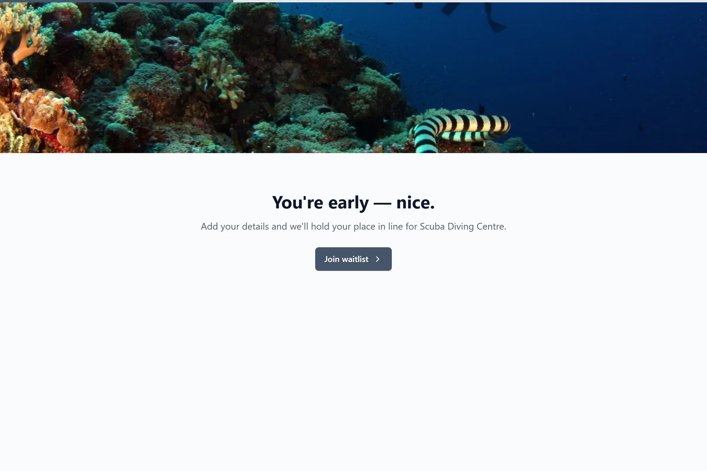Scuba Diving Centre Waitlist template preview