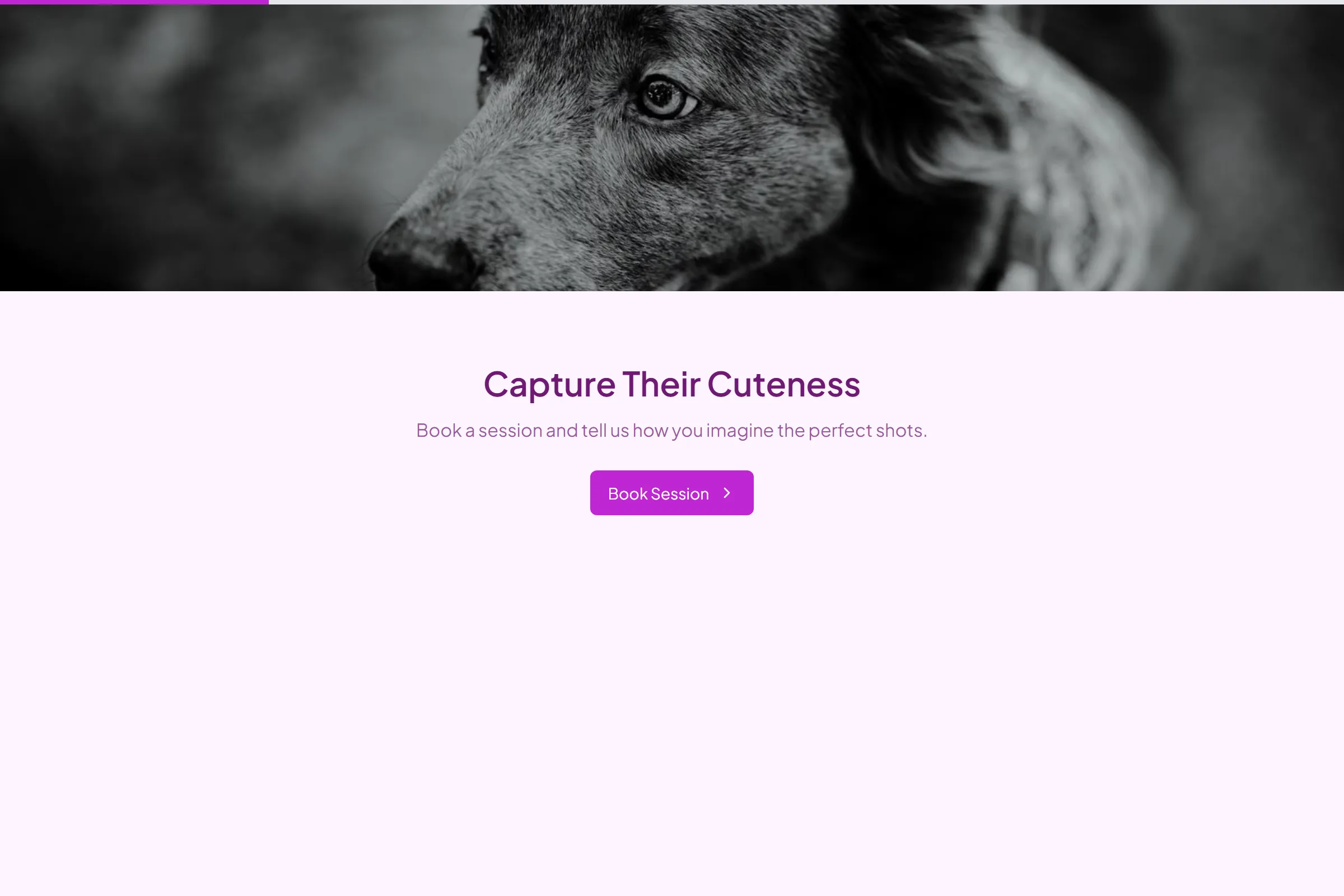 Snapshot Pet Photography Session template preview