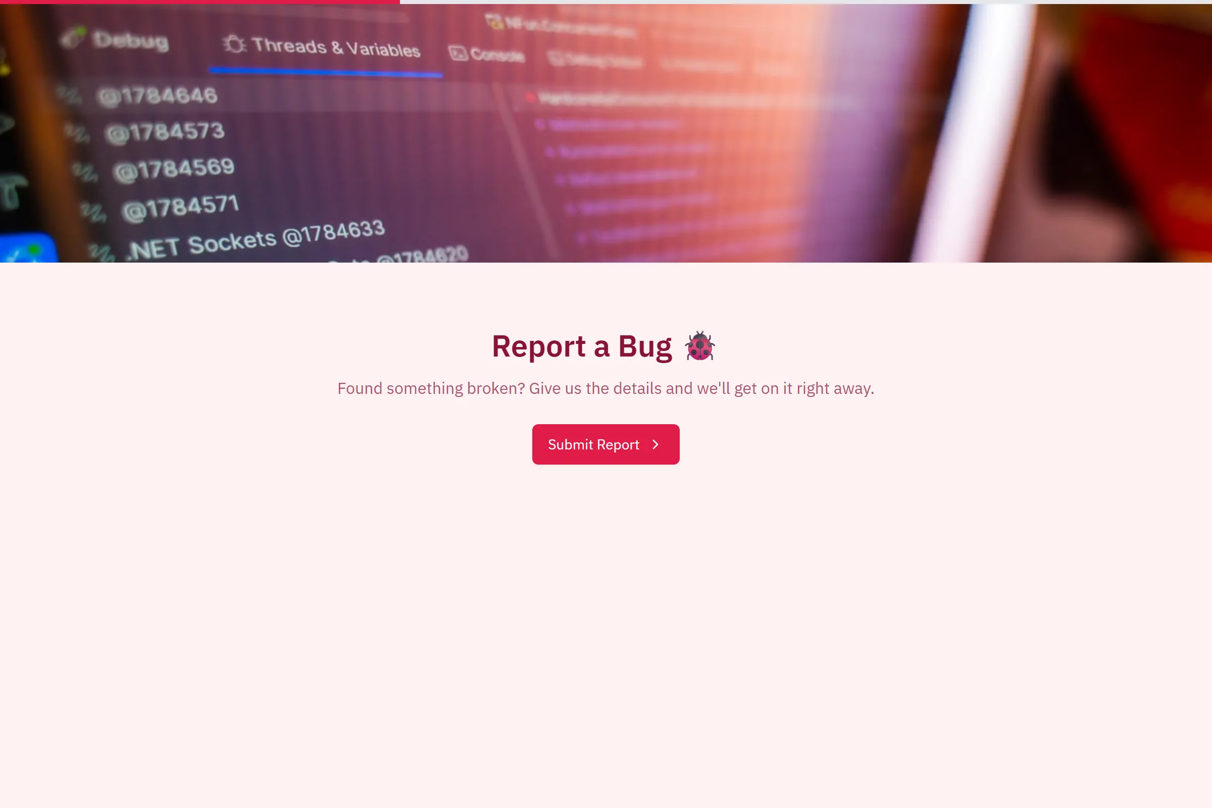 Software Bug Report template preview