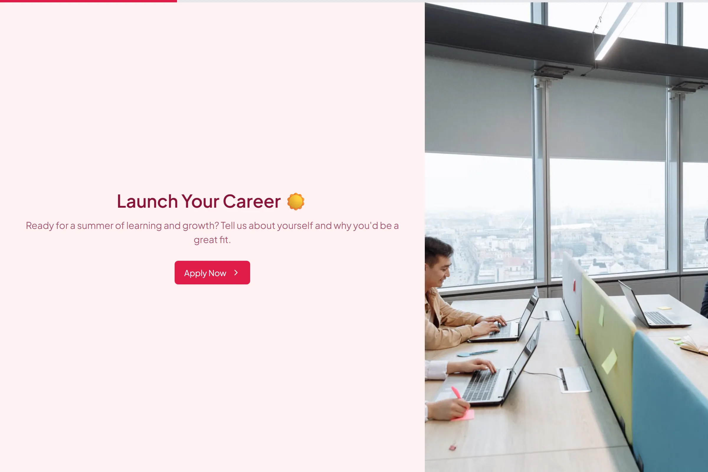 Summer Internship Application template preview