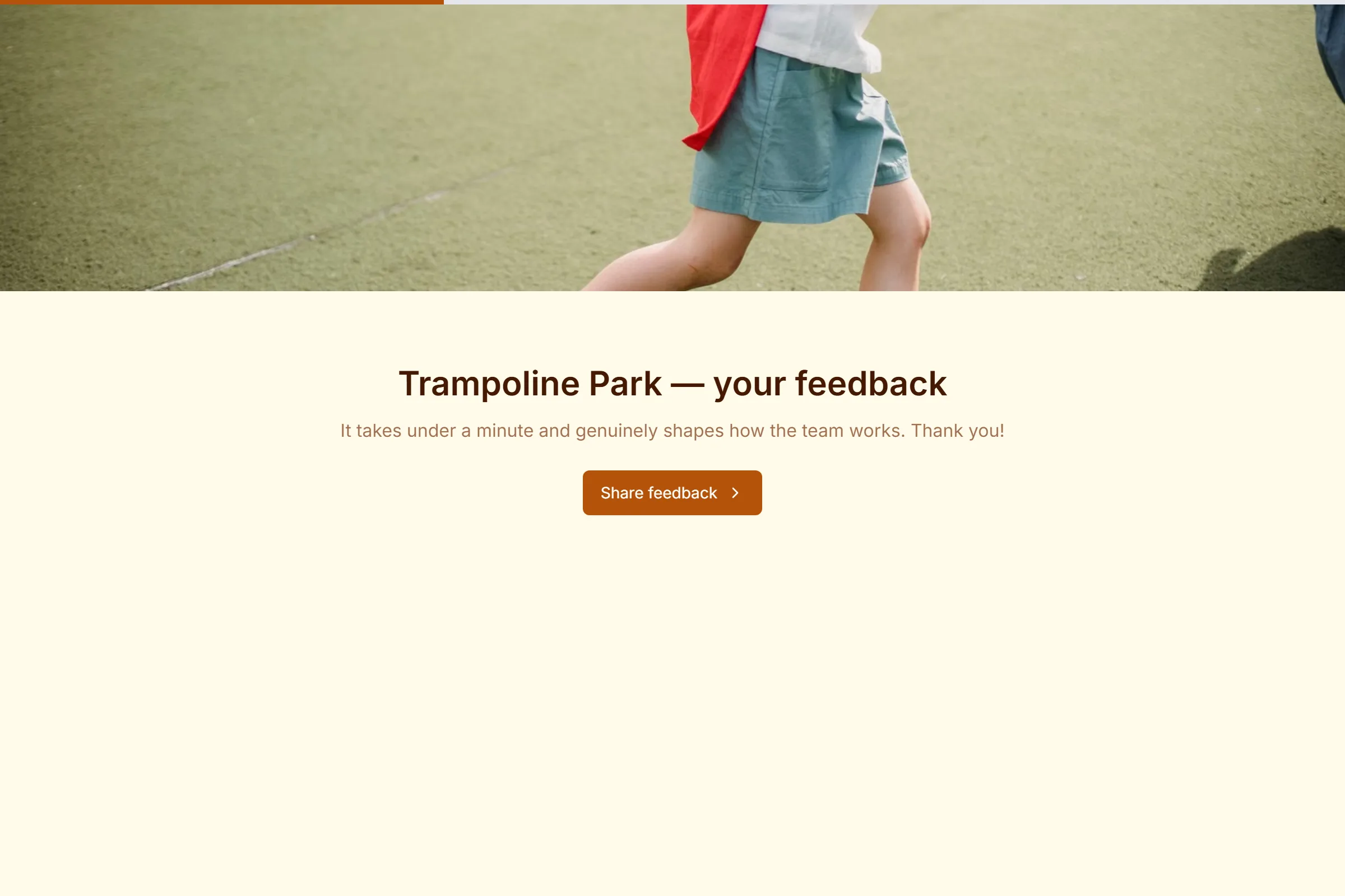 Trampoline Park Satisfaction Survey template preview