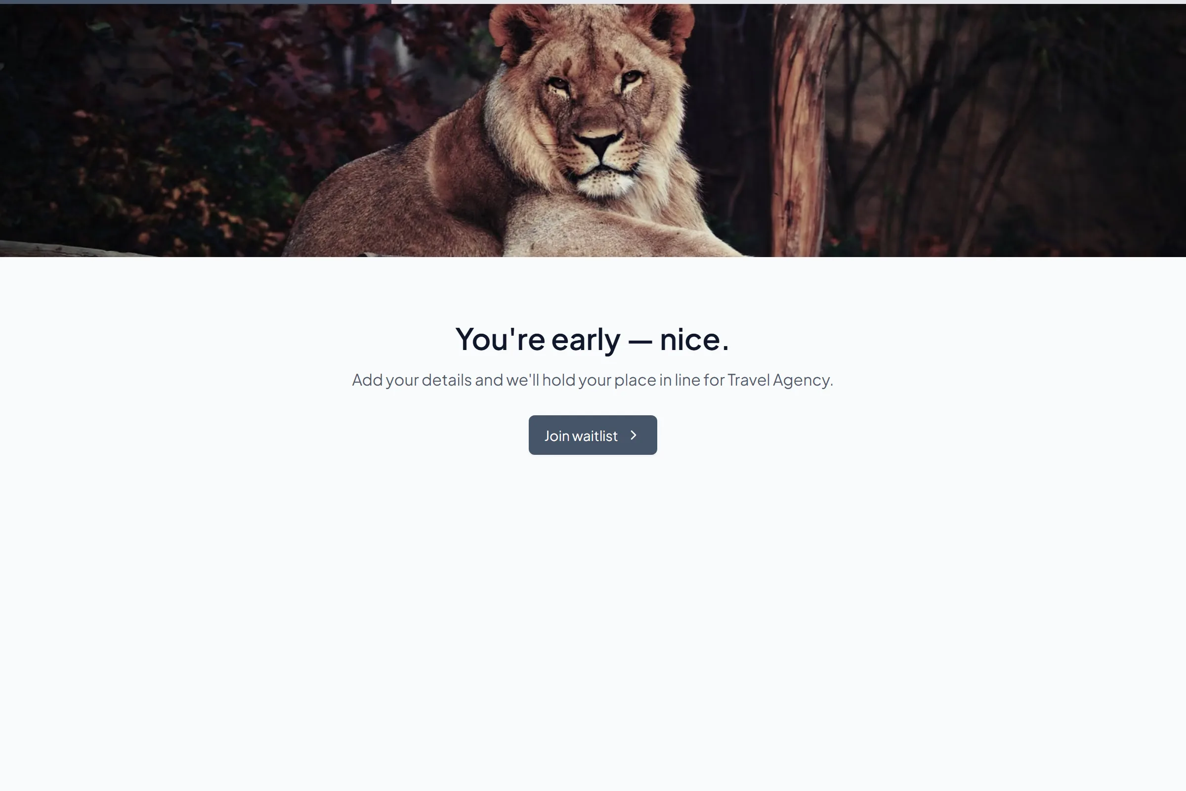 Travel Agency Waitlist template preview