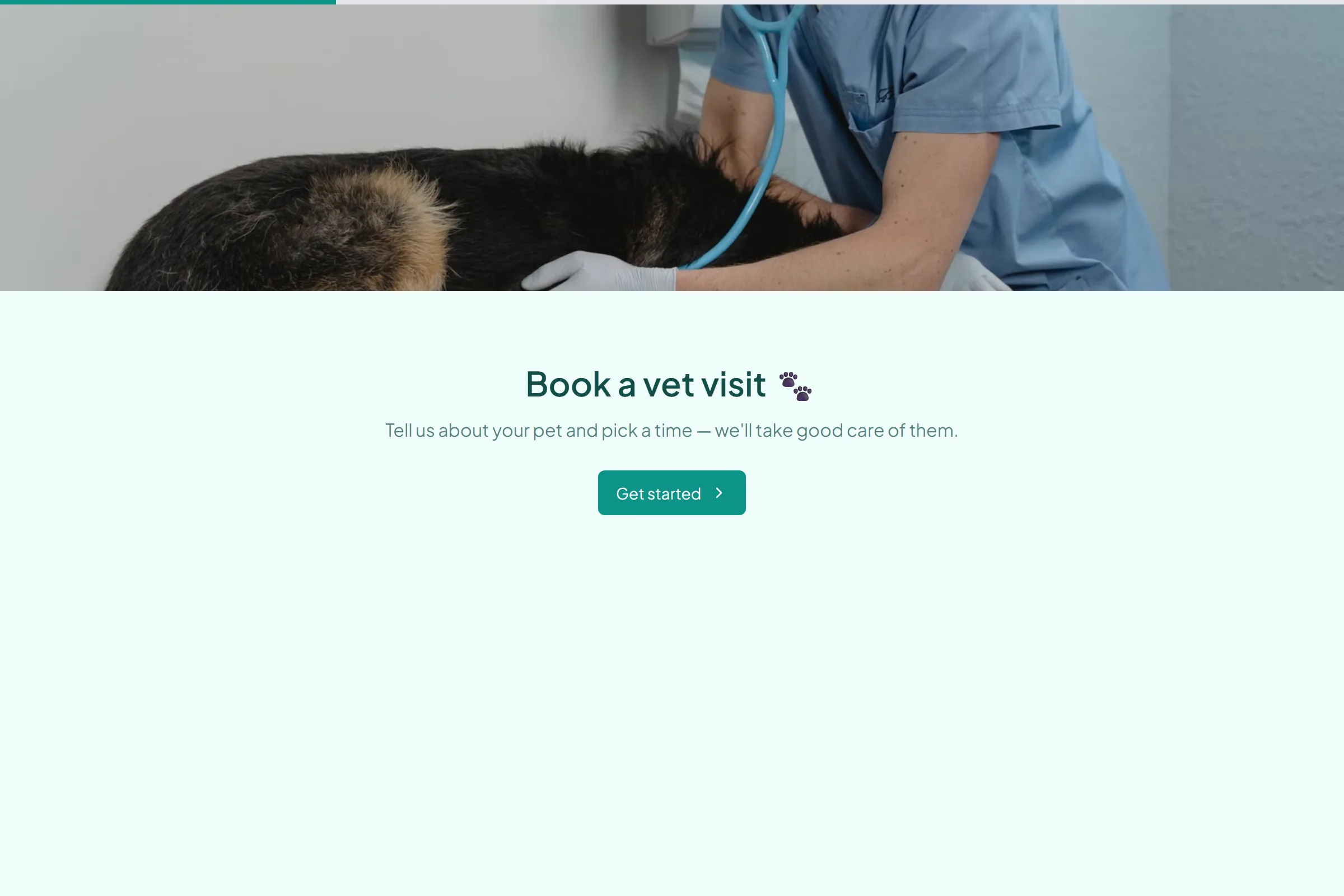 Vet Appointment Booking template preview